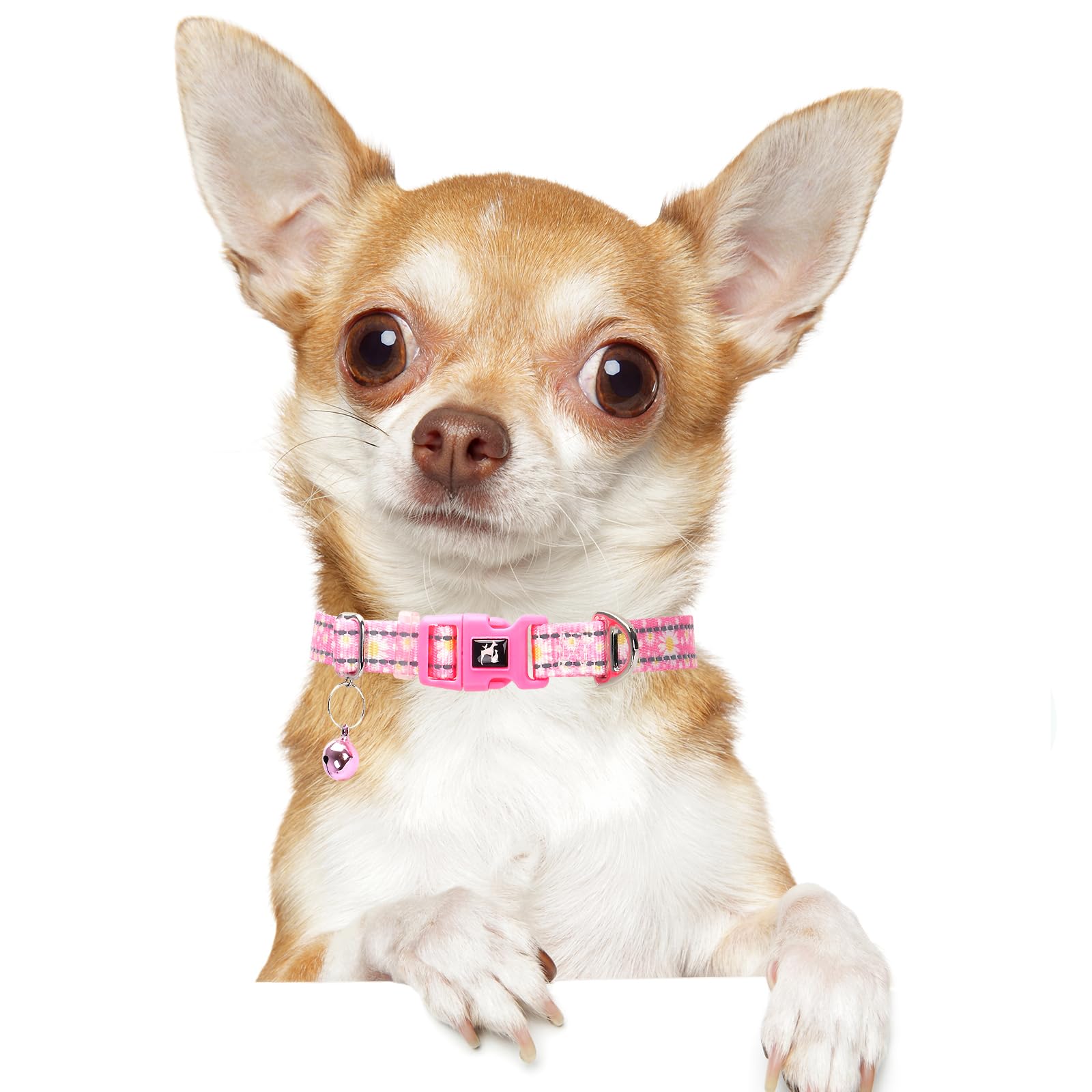 Small Dog Collar With Bell - Reflective Nylon Dog Collar For Small Breeds, Adjustable Xxs/Xs Tiny Chihuahua Pomeranian Yorkie Co