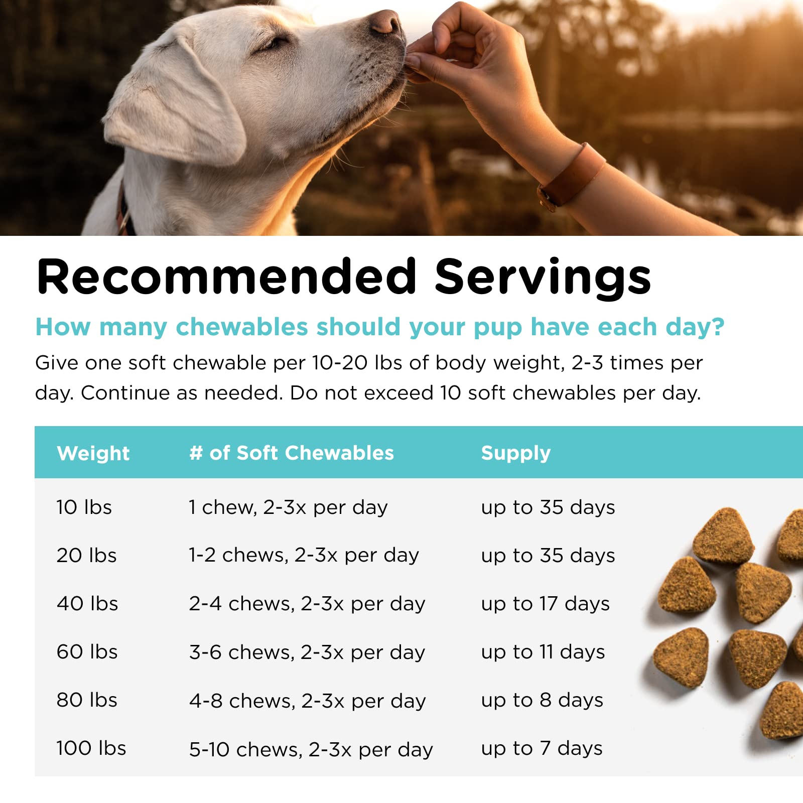 Nutri-Vet Pet-Ease Soft Chews for Dogs - Vet Formulated with Chamomile and Tryptophan to Soothe and Calm Dogs - 6.0 oz