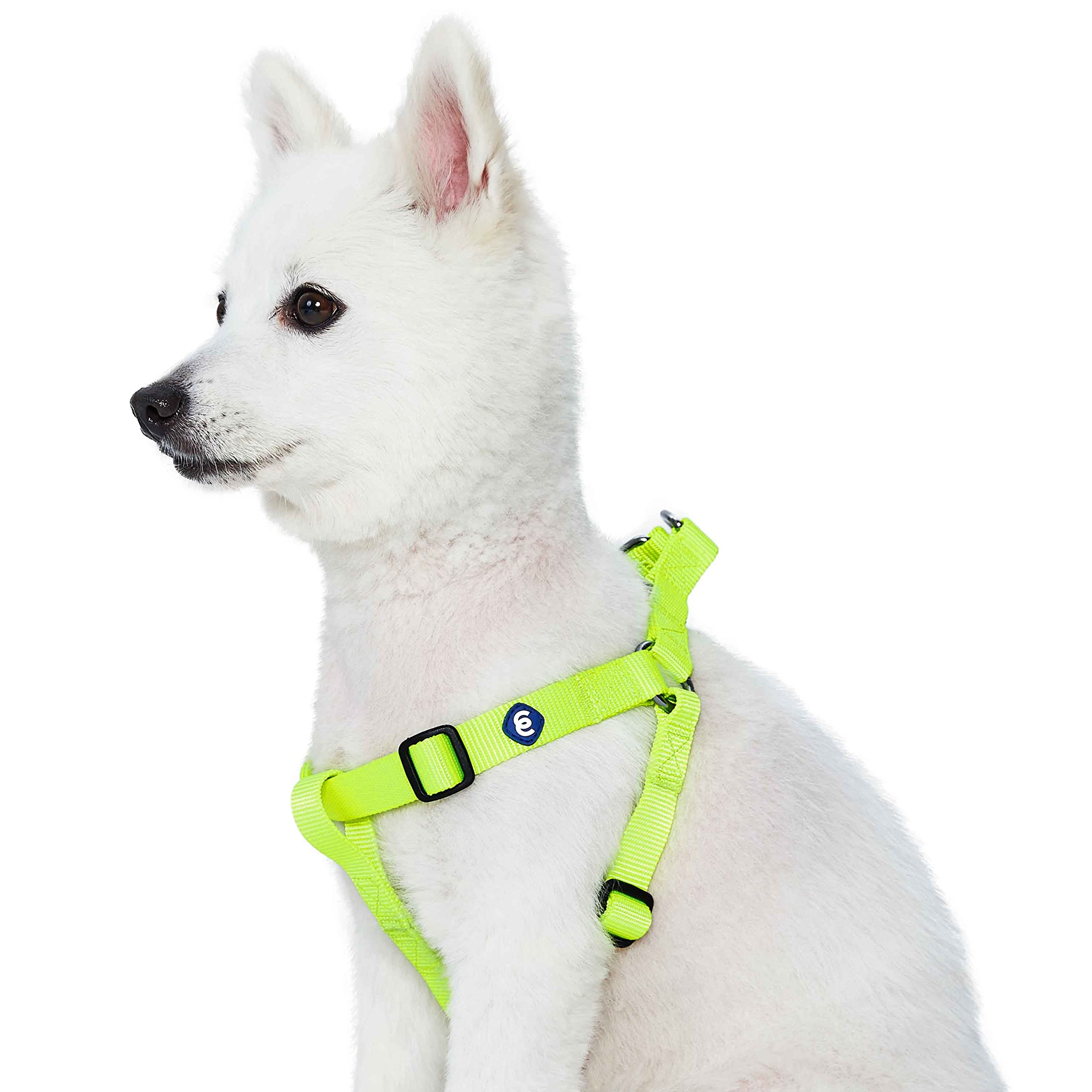 Blueberry Pet Essentials Classic Durable Solid Nylon Step-In Dog Harness, Chest Girth 20' - 26', Highlighter Yellow, Medium, Adjustable Harnesses For Puppy Boy Girl Dogs