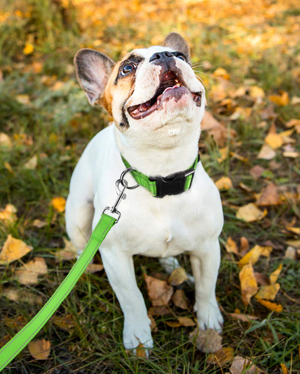 Funtags Reflective Dog Collar, Sturdy Nylon Collars For Small Girl And Boy Dogs, Adjustable Dog Collar With Quick Release Buckle, Green