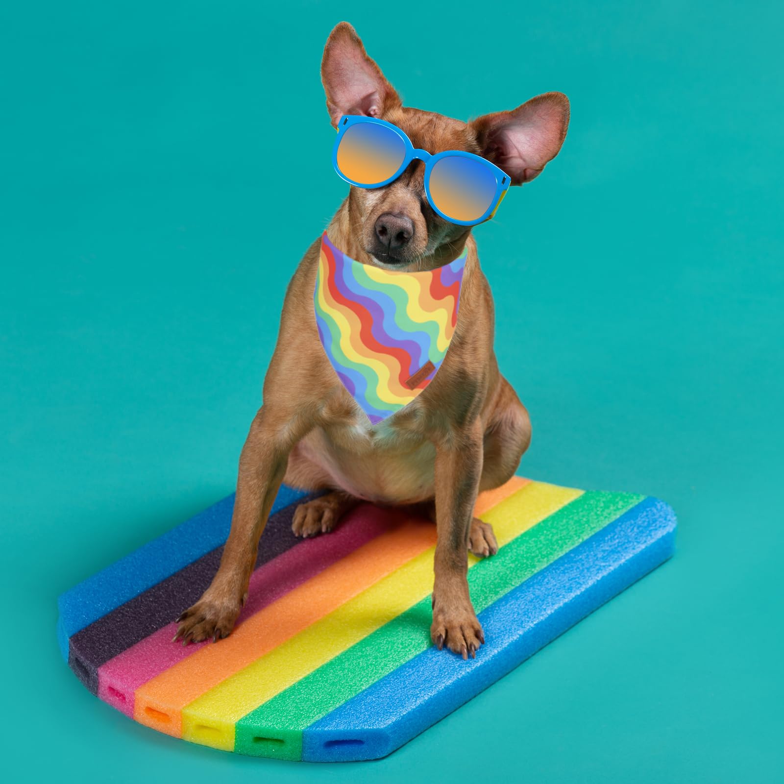 Ptdecor Rainbow Dog Bandanas Pride Day Dog Scarf Reversible Triangle Lgbt+ Rainbow Bandanas For Extra Large Dogs Pets (Pride, X-