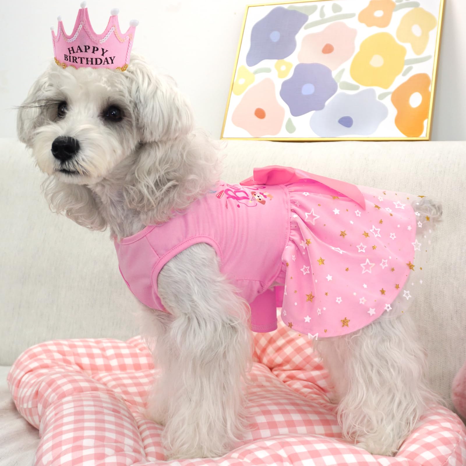 Xpudac Dog Birthday Dress Puppy Clothes For Small Dogs Girl Birthday Party Tulle Pet Outfit, Cat Appeal-Xx-Small
