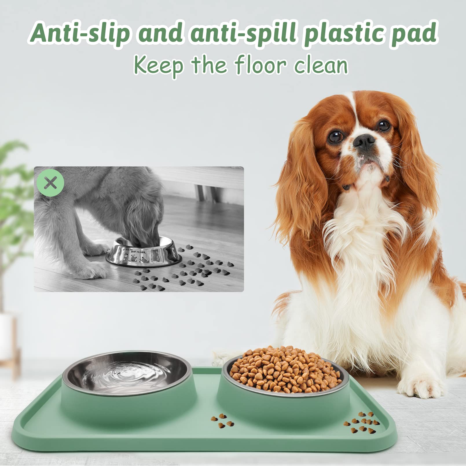 BNOSDM Double Dog Food Bowls Stainless Steel Dog Food and Water Bowls with Non-Spill Plastic Mat Pet Cat Feeder Bowl Set for Pup