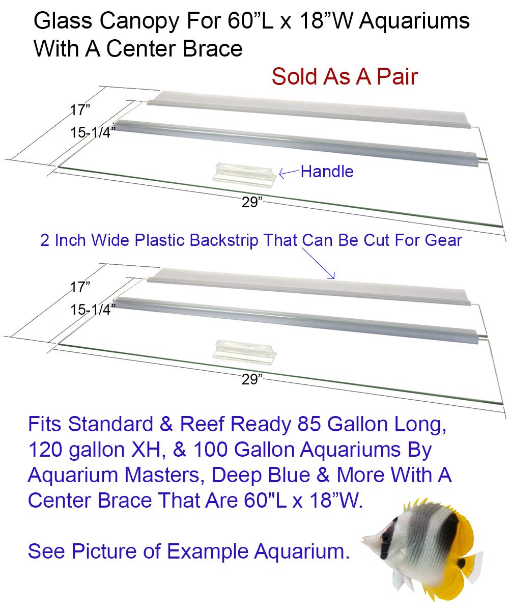 Glass Canopy For Aquariums With And Without Center Braces, 10 Gallon To 200 Gallon Aquariums (Tank With Center Brace, 60'' L X 1