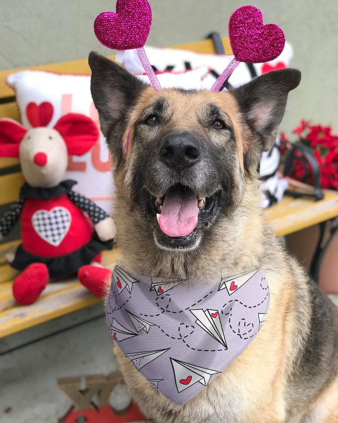 Boombone Dog Valentines Day Bandana 2 Pack,Triangle Bibs Pet Scarf For Puppy Cat Small Dogs