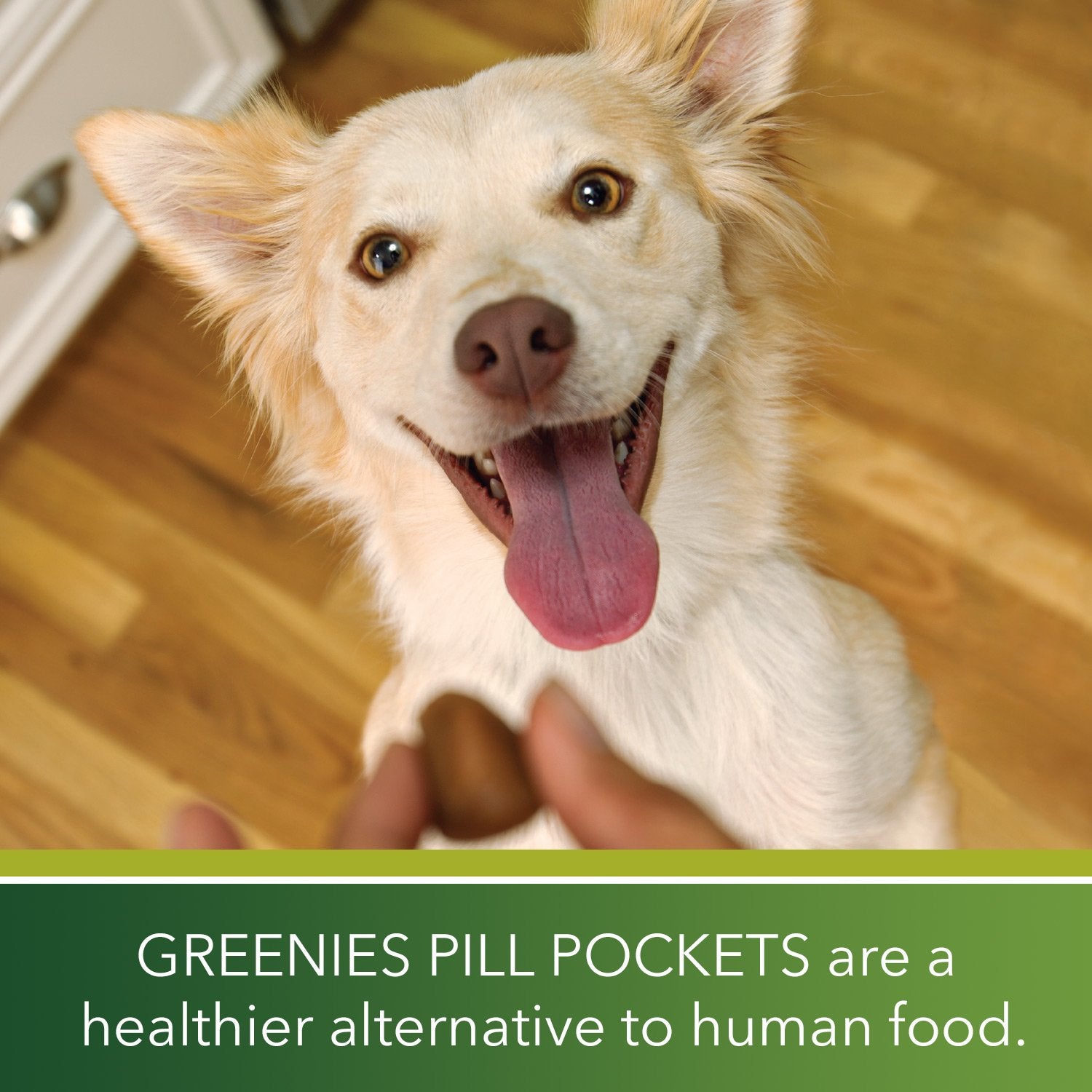 GREENIES Pill Pockets Treats for Dogs Hickory Smoke - Tablet Size 30 Count (Pack of 6)