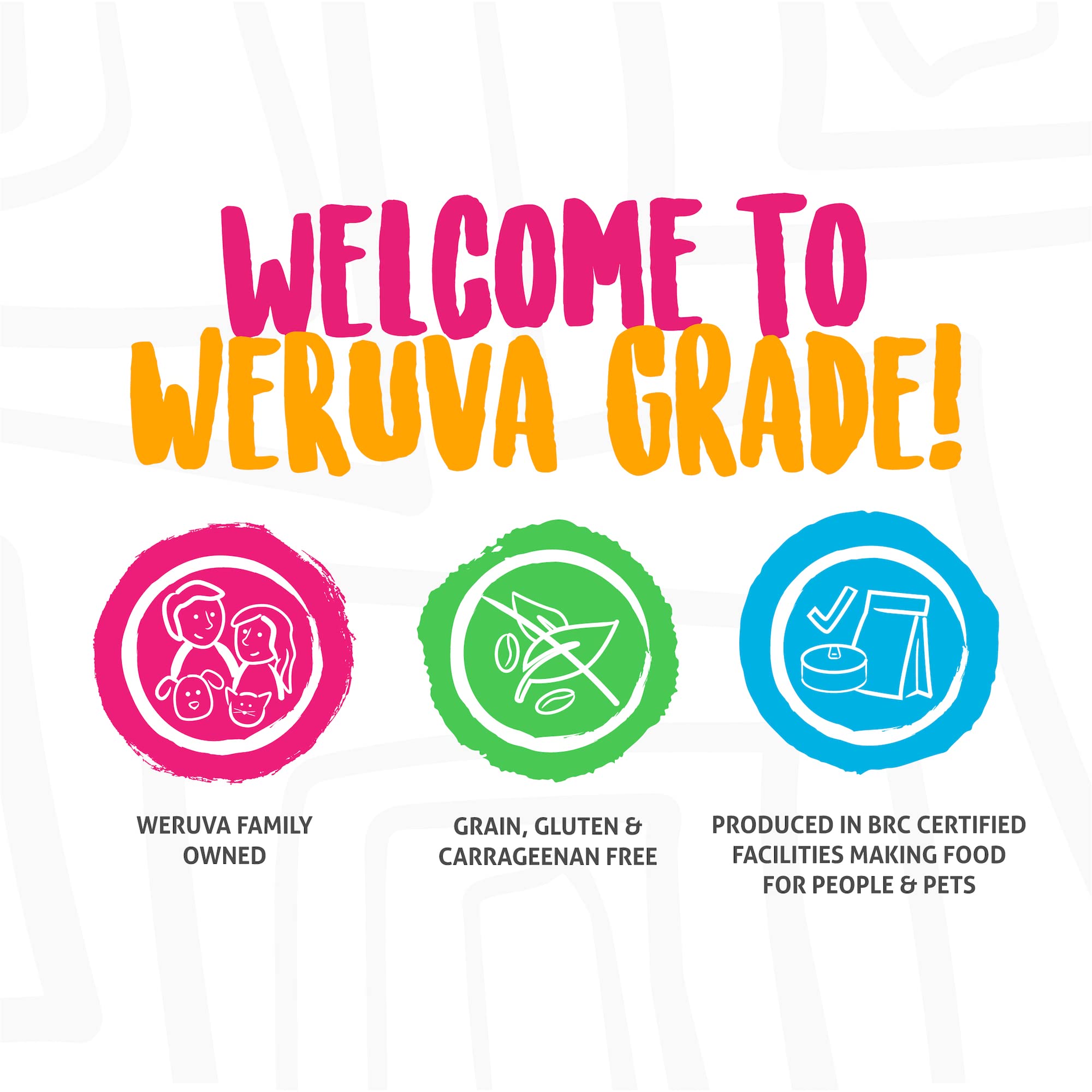 Weruva Wet Cat Food, The Slice is Right with Wild Caught Salmon Pate, 5.5oz Slide N Serve Pouch, Pack of 12