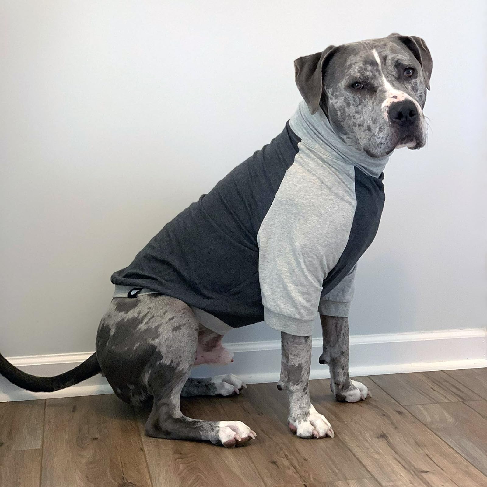 Tooth & Honey Large Dog Pullover Shirt – Breathable Cotton & Spandex Dog Shirt With Full Underbelly Coverage – Dark & Light Grey Large Dog Shirt For Allergy & Summer Protection (Large)