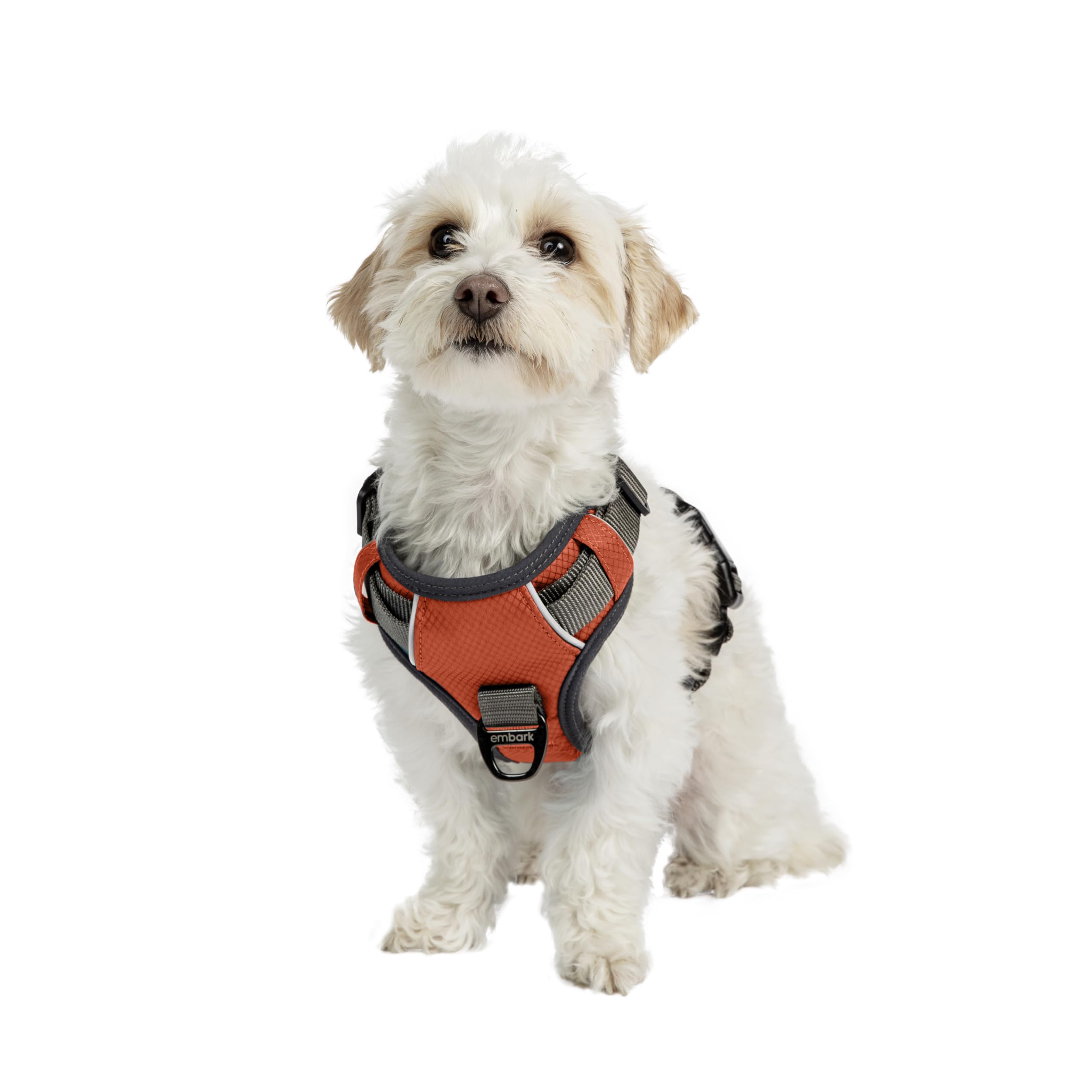Embark Adventure Dog Harness No-Pull Dog Harness For Small Dogs, Medium & Large. 2 Leash Clips, Front & Back With Control Handle, Adjustable Orange Dog Vest For Any Breed, Soft & Padded For Comfort