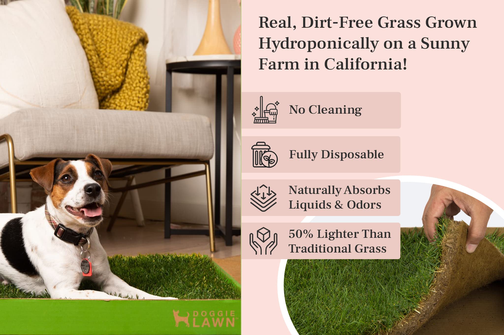Doggielawn Real Grass Puppy Pee Pads- 24 X 24 Inches - Perfect Indoor Litter Box For Dogs - No Mess, Easy-To-Use - Potty Training For Pets - Eco-Friendly Disposable Bathroom With Real Living Grass
