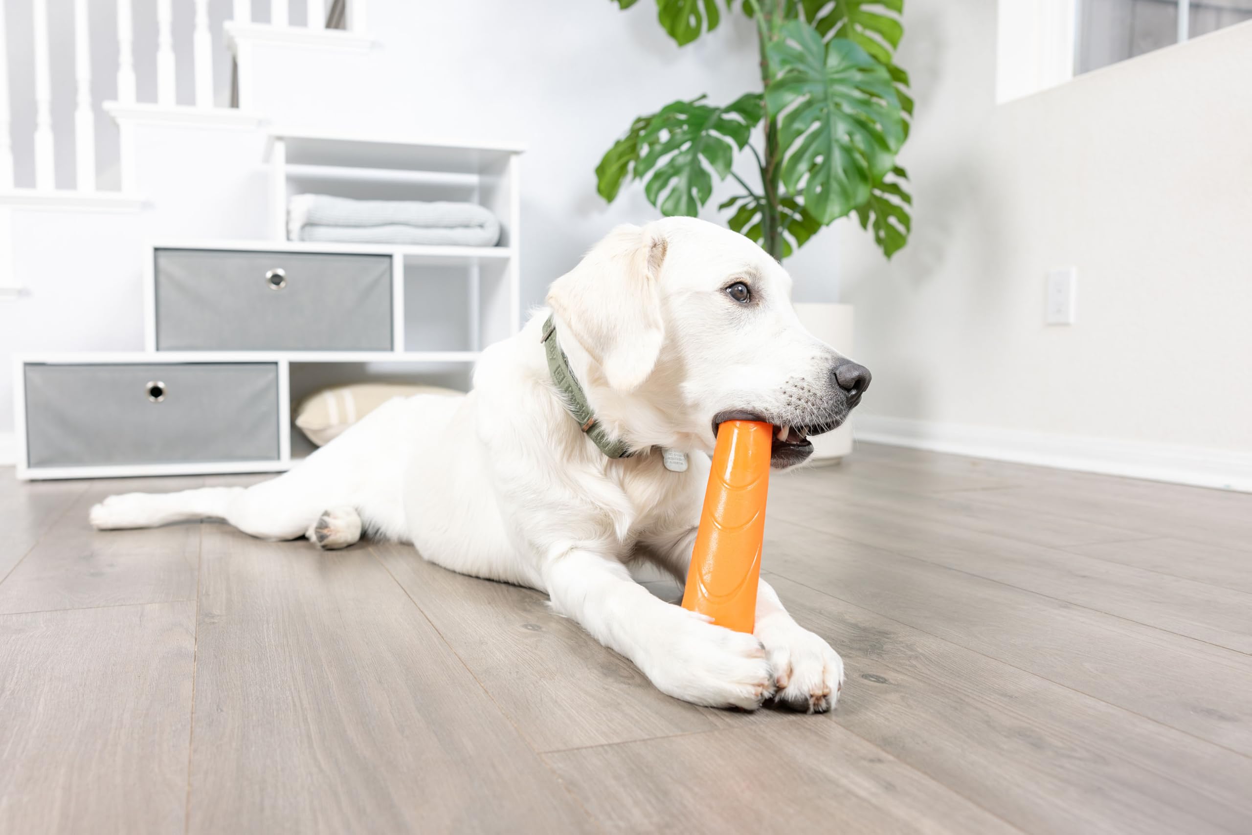 Chuckit! Super Crunch Fetch Stick Dog Toy, 9.2 Inches In Length, Medium-Large, For Breeds 20-100 Lbs