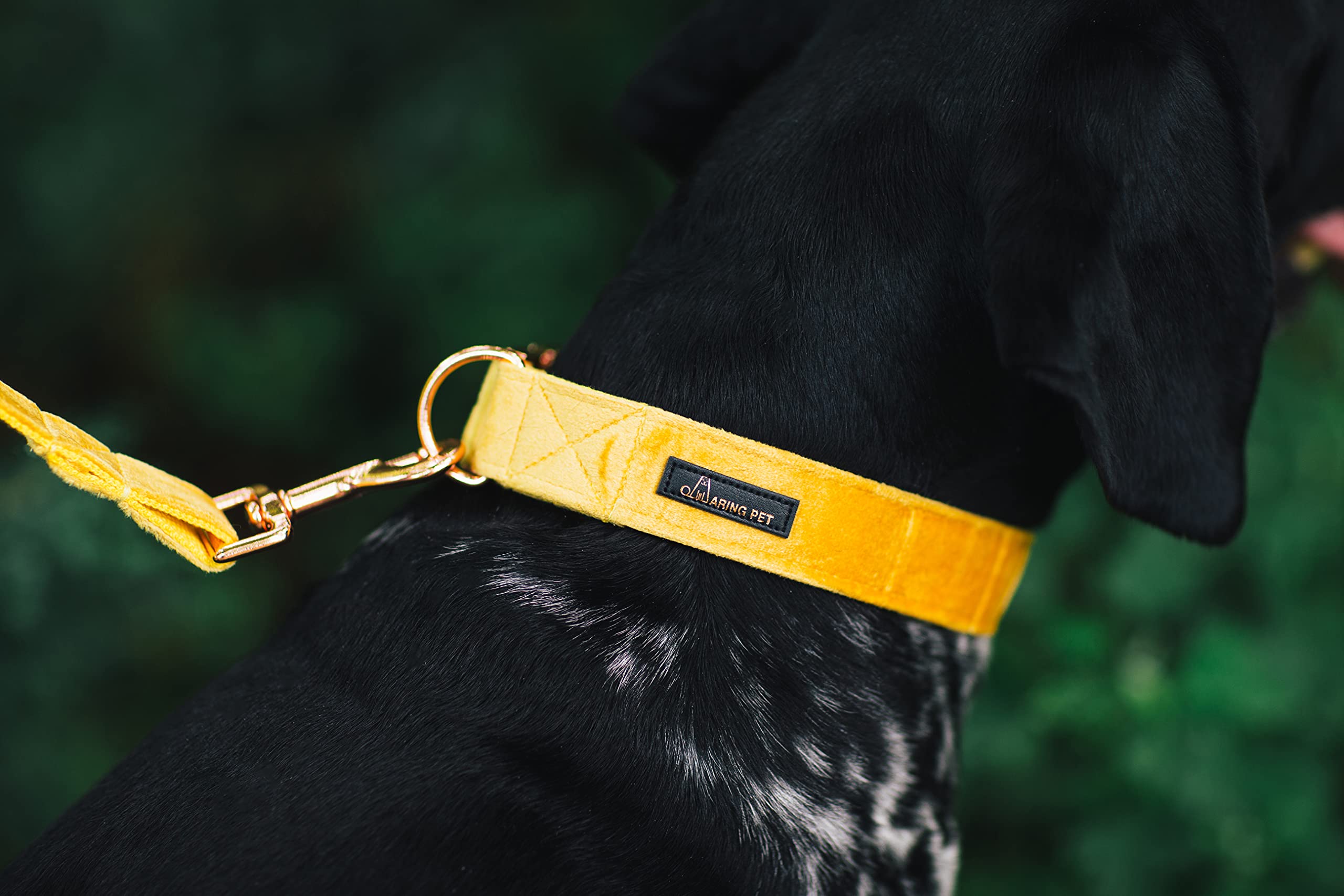 Aring Pet Velvet Dog Collar And Leash Set, Bright Yellow Dog Collar And Leash, Adjustable Soft Collars For Dogs