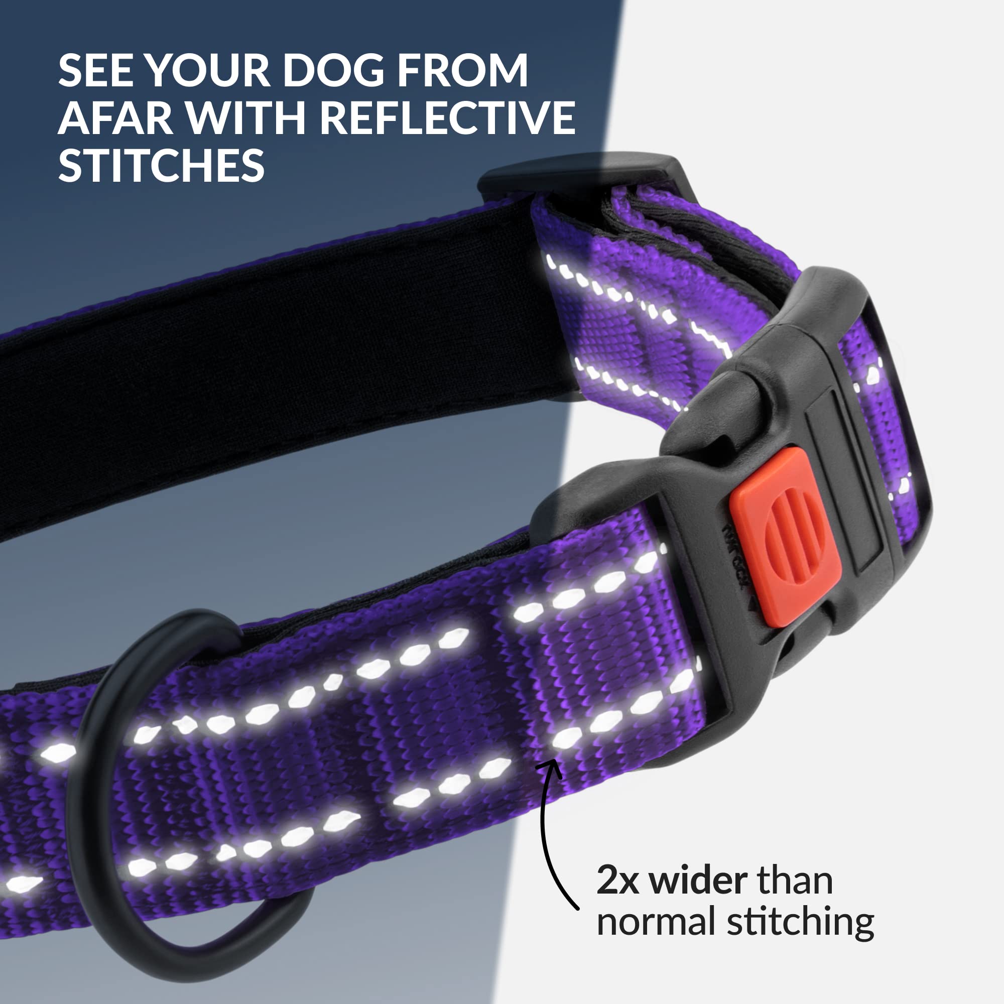 Collardirect Reflective Padded Dog Collar For A Small, Medium, Large Dog Or Puppy With A Quick Release Buckle - Boy And Girl - Nylon Suitable For Swimming (12-16 Inch, Purple)