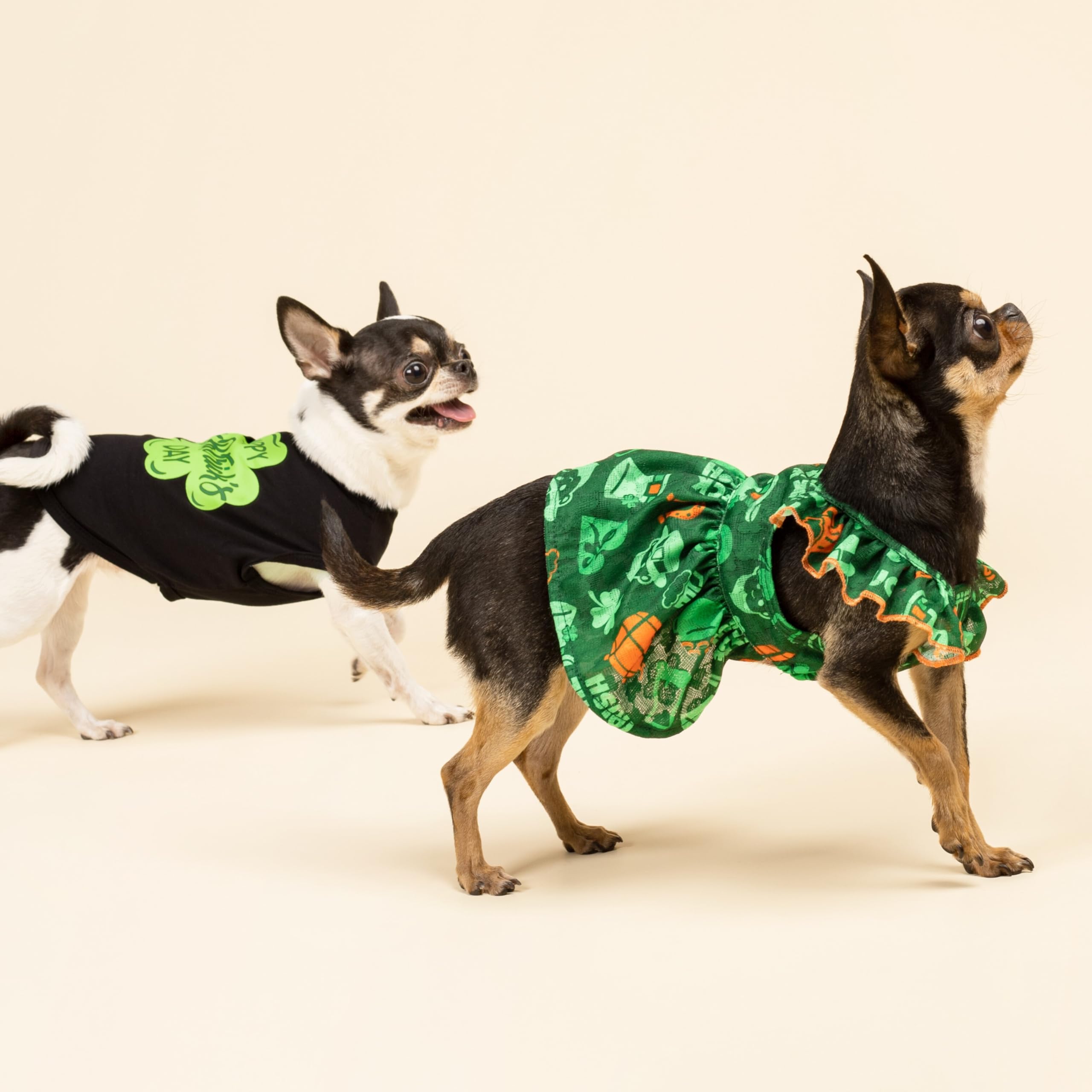 Fitwarm Happy St Patricks Day Dog Clothes, Summer Dog Clothes For Small Dogs Boy Girl, Funny Dog Tshirt, Lightweight Breathable