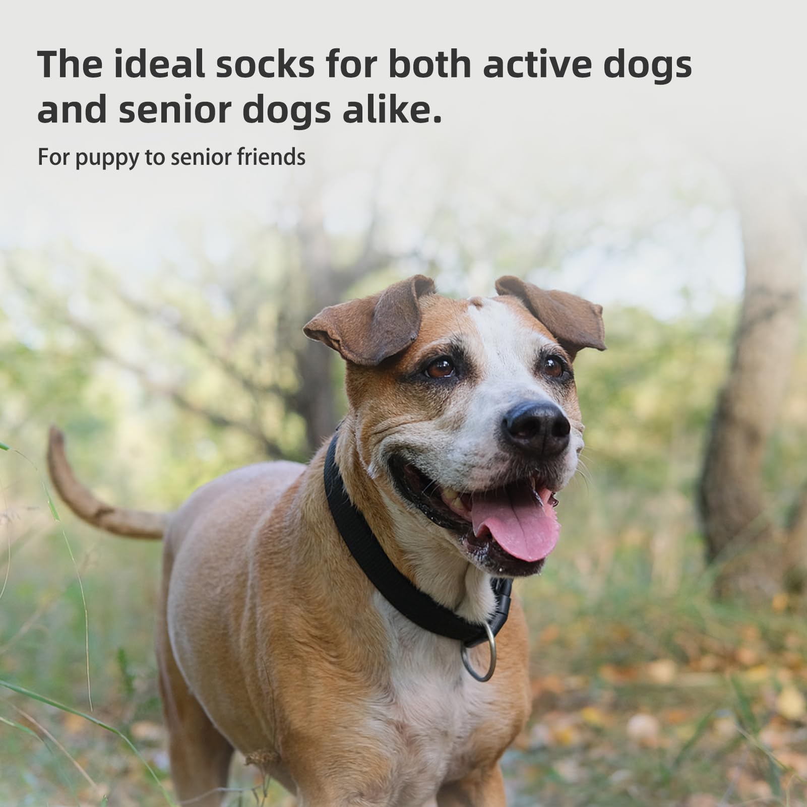 Pupteck Anti-Slip Dog Socks With Double Sides Grips For Small Medium Large Dogs Hardwood Floors Prevents Licking, Dog Shoes For Hot Pavement Traction Control For Senior Dogs, Dark Blue, S
