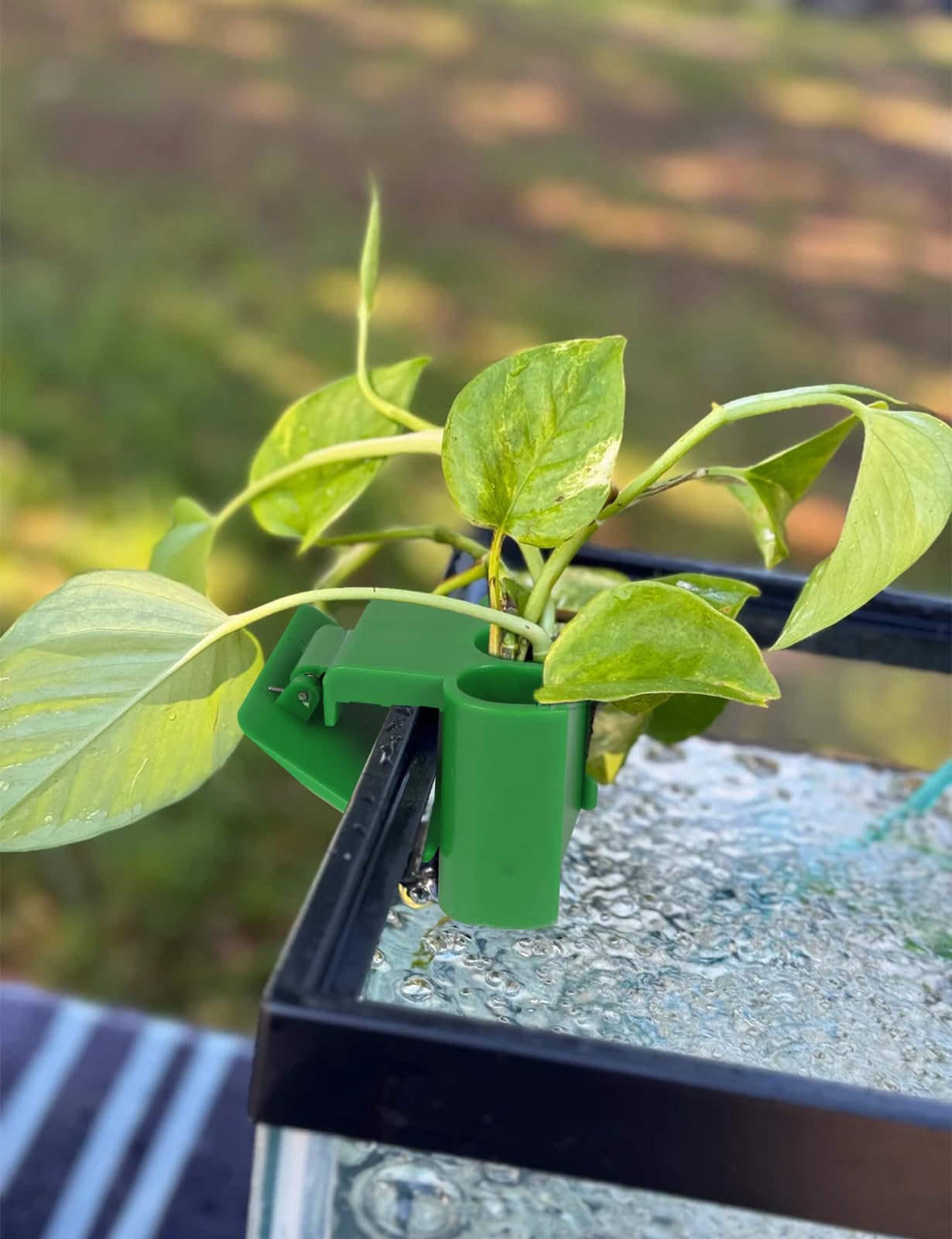 joqepy 2 Pk Upgraded Aquarium Plant Holder, 3-Hole Hanging Holder with Clip, Suitable for Fish Tank Decoration, Green