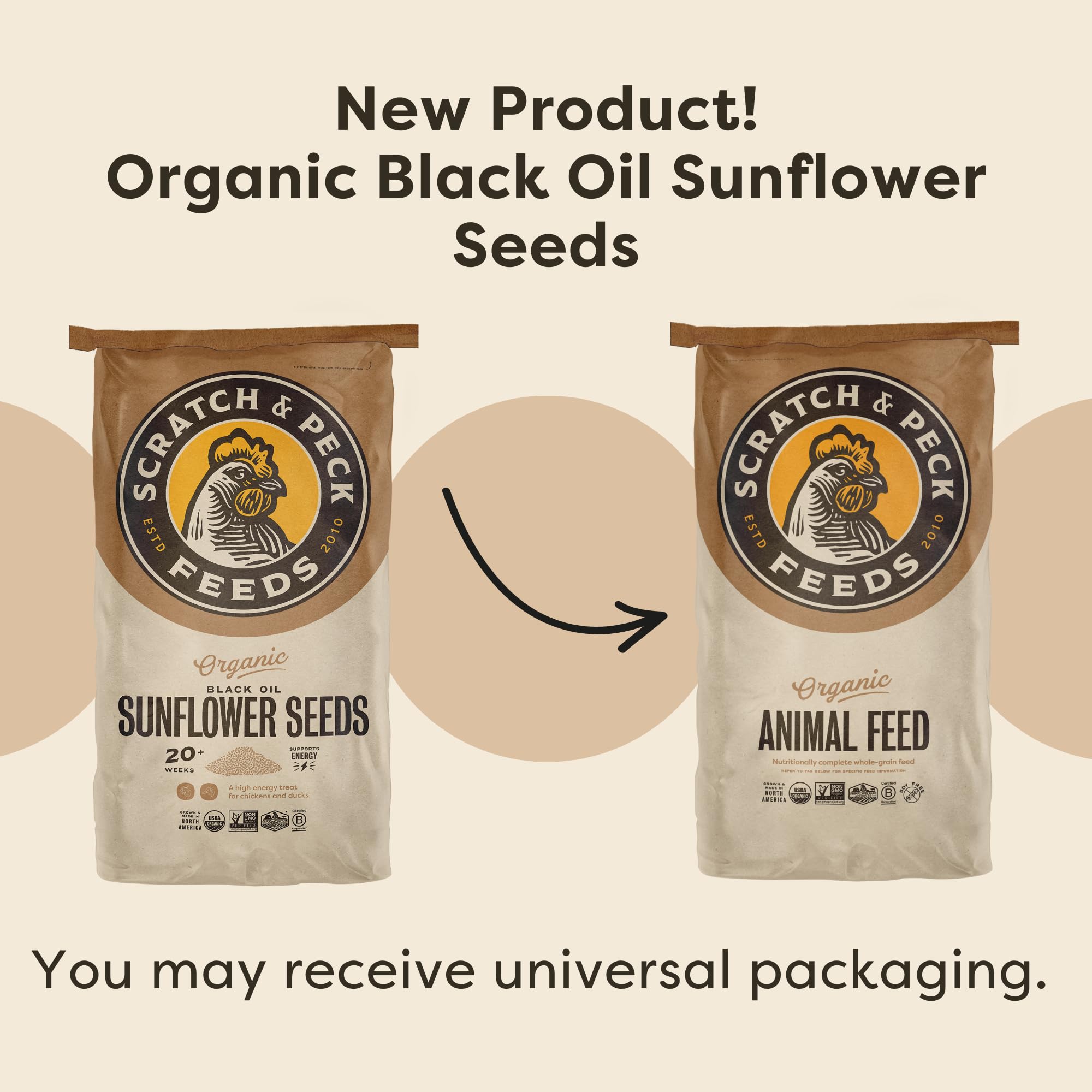 Scratch and Peck Black Oil Sunflower Seeds Chicken and Duck Treat - 7 lbs Bag - 15% Protein, Certified Organic and Non-GMO Proje