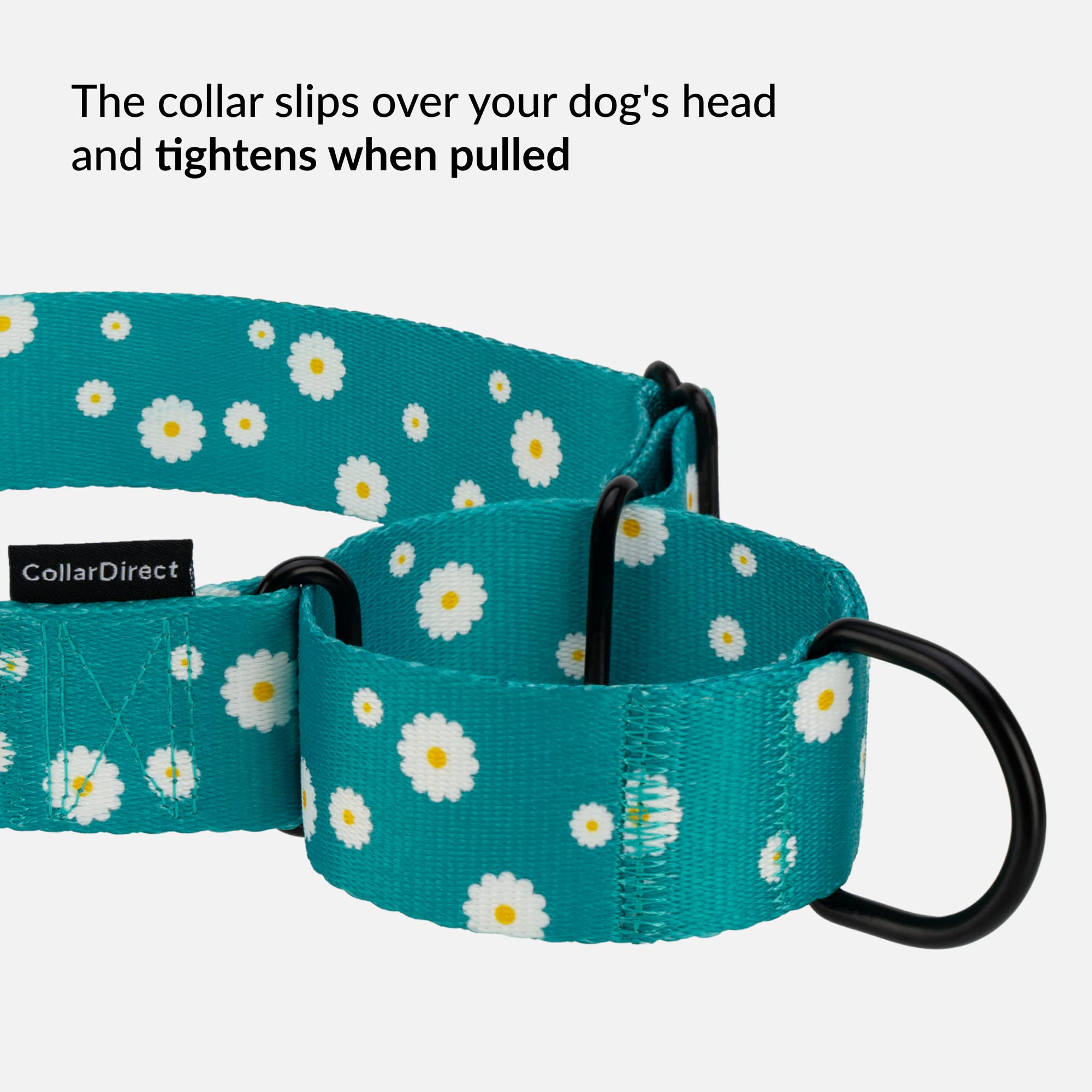 CollarDirect Martingale Collars for Dogs Heavy Duty Floral Pattern Female Safety Nylon Training Wide Collar Flower Design Large