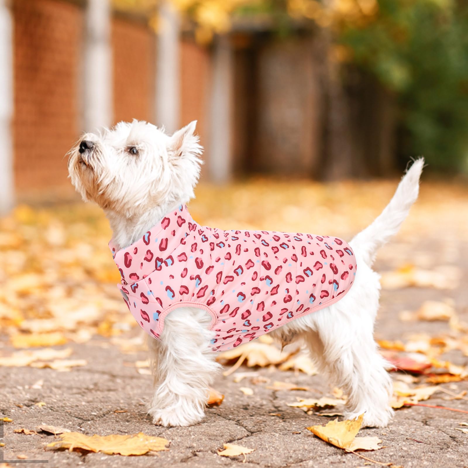 Asenku Windproof Winter Coat - Waterproof Jacket, Warm Vest For Dogs - Cold Weather Pet Apparel With 2 Layers Fleece Lined For S