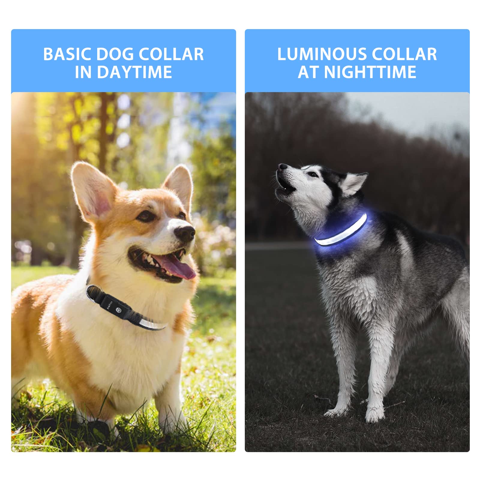 Pceotllar Light Up Dog Collar Lights For Night Walking - Led Dog Collar Light Rechargeable Color Changing, Glow In The Dark Dog Collars Waterproof Glowing Dog Collars For Large Small Medium Dogs