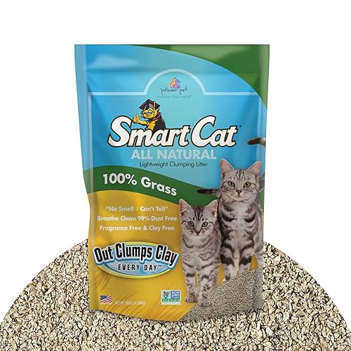 Smartcat All Natural Clumping Cat Litter, 10 Pound (160Oz 1 Pack) - Alternative To Clay And Pellet Litter - Chemical And 99% Dus