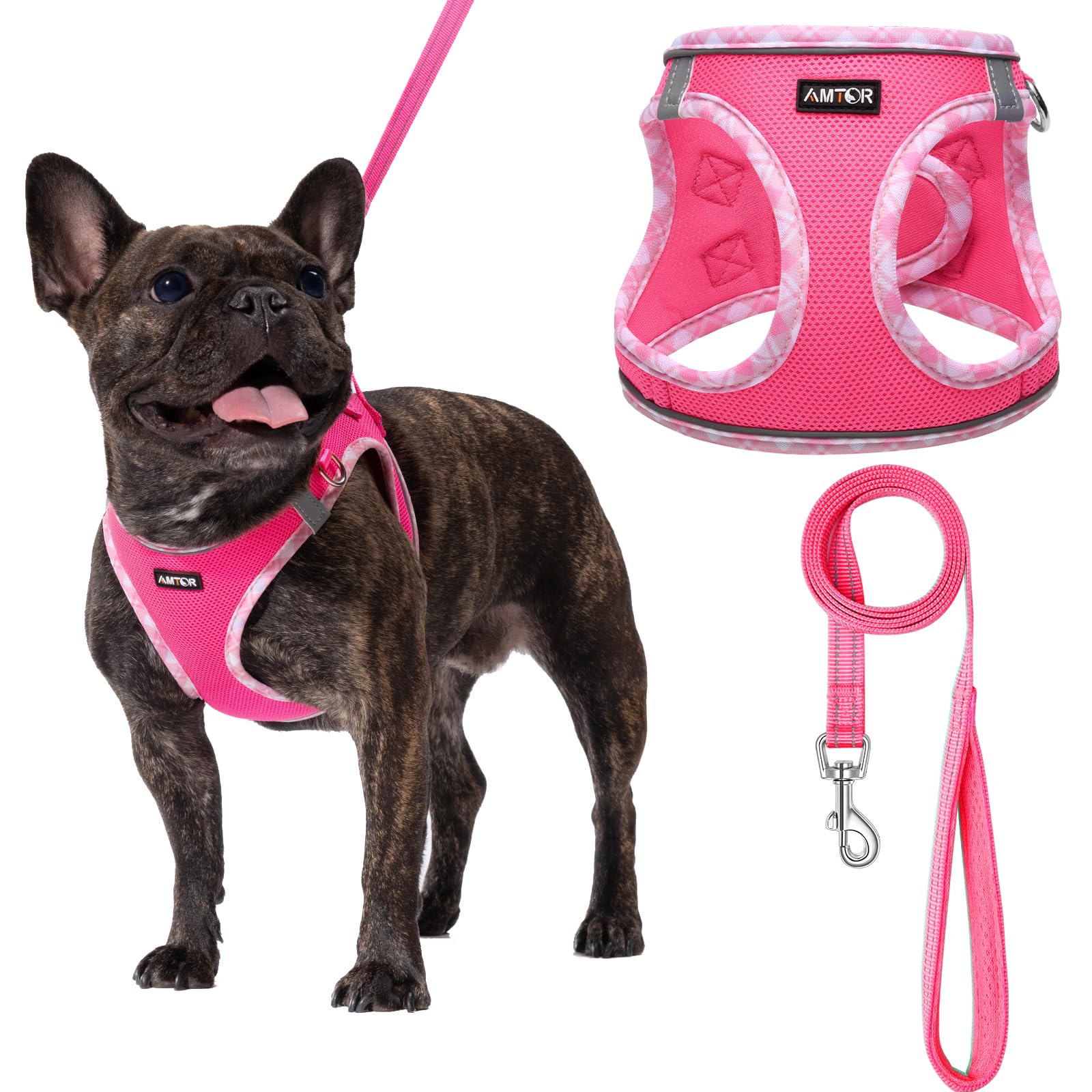 Amtor Dog Harness With Leash Set,No Pull Adjustable Reflective Step-In Puppy Harness With Padded Vest For Extra-Small/Small Medium Large Dogs And Cats(Fuchsia,L)