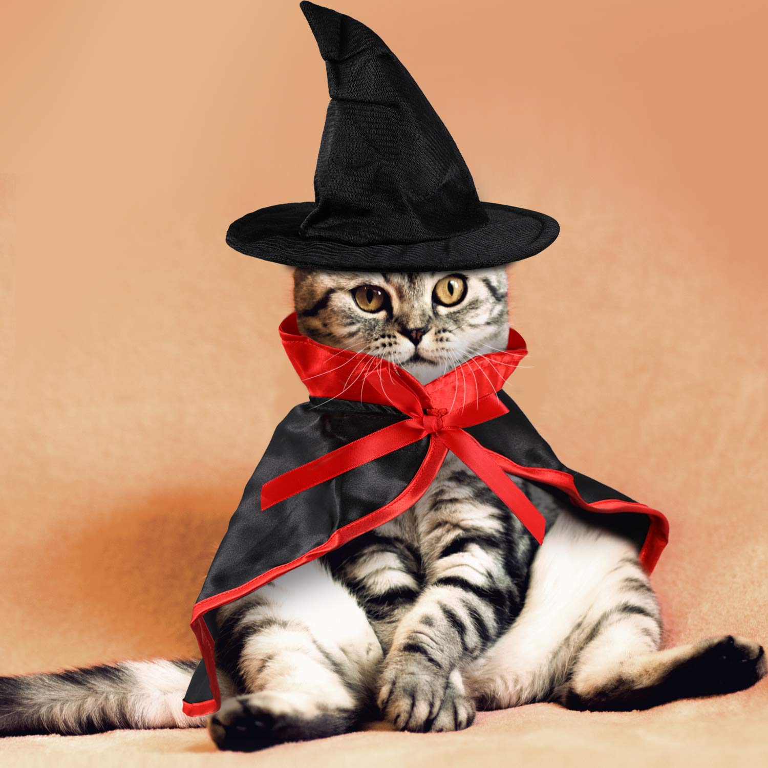 2 Pieces Halloween Cat Costume Pet Vampire Cloak Witch Cape and Hat for Cat Kitten Puppy Cosplay Halloween Party Supplies