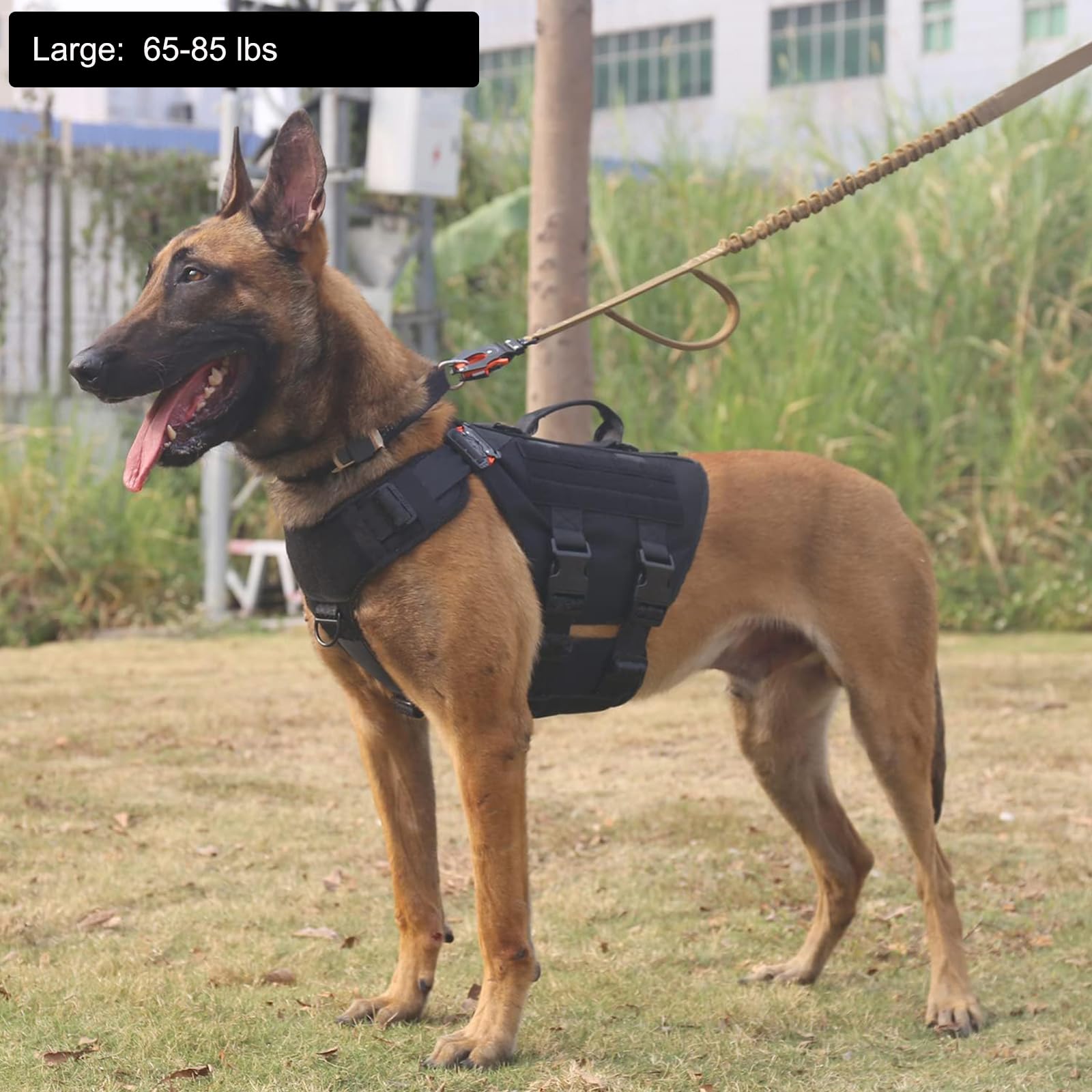 Icefang Gn3 Tactical Dog Harness With 6X Buckle,Dog Molle Vest With Handle,3/4 Body Coverage,Hook And Loop Panel For Id Patch,No