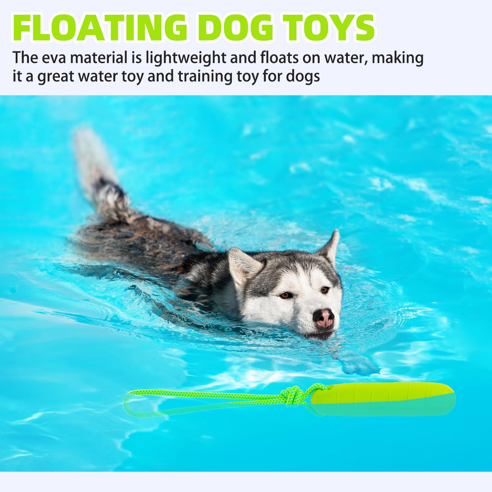 Pupteck Interactive Dog Pool Toys Water Floating Toys Fetch Training Bumpers 2 Pack, Blue & Green