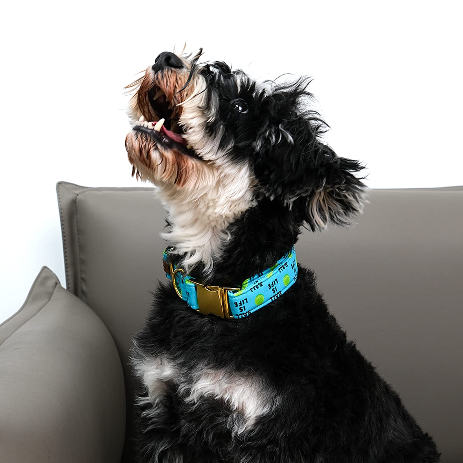 Lionet Paws Dog Collar, Comfortable Adjustable Cute Collar With Metal Buckle For Male Female Dogs, Tennis Ball Pattern, Large, N