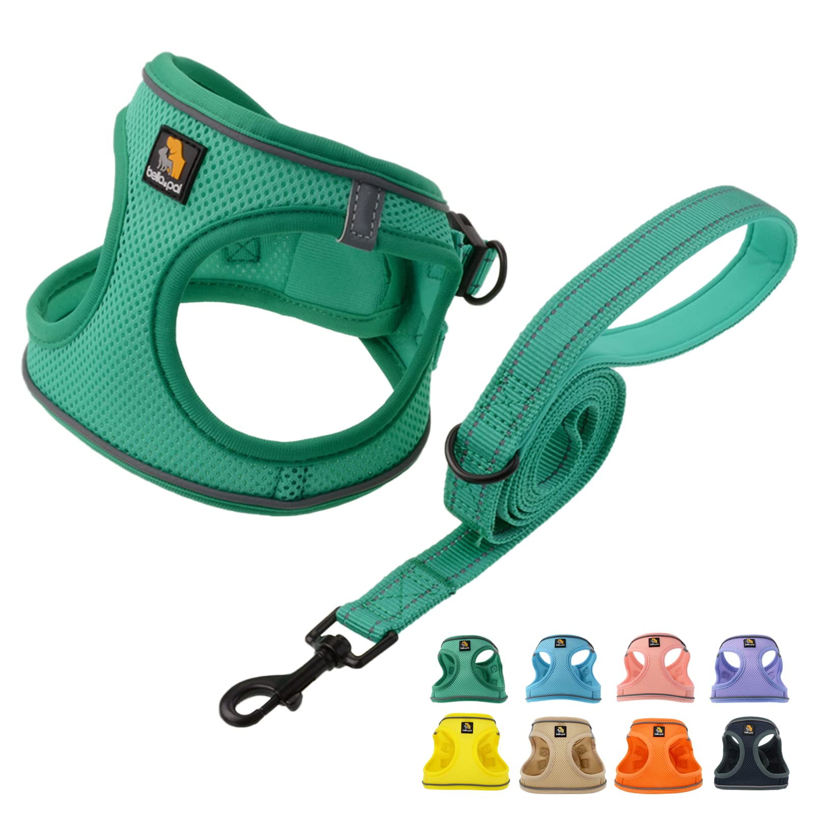 Bella & Pal Puppy Harness With Leash Set, Dog Harness For Small Dogs No Pull, Dog Leash For Small Dogs, Step In Harness For Extra Small Dogs, Green Harness, L