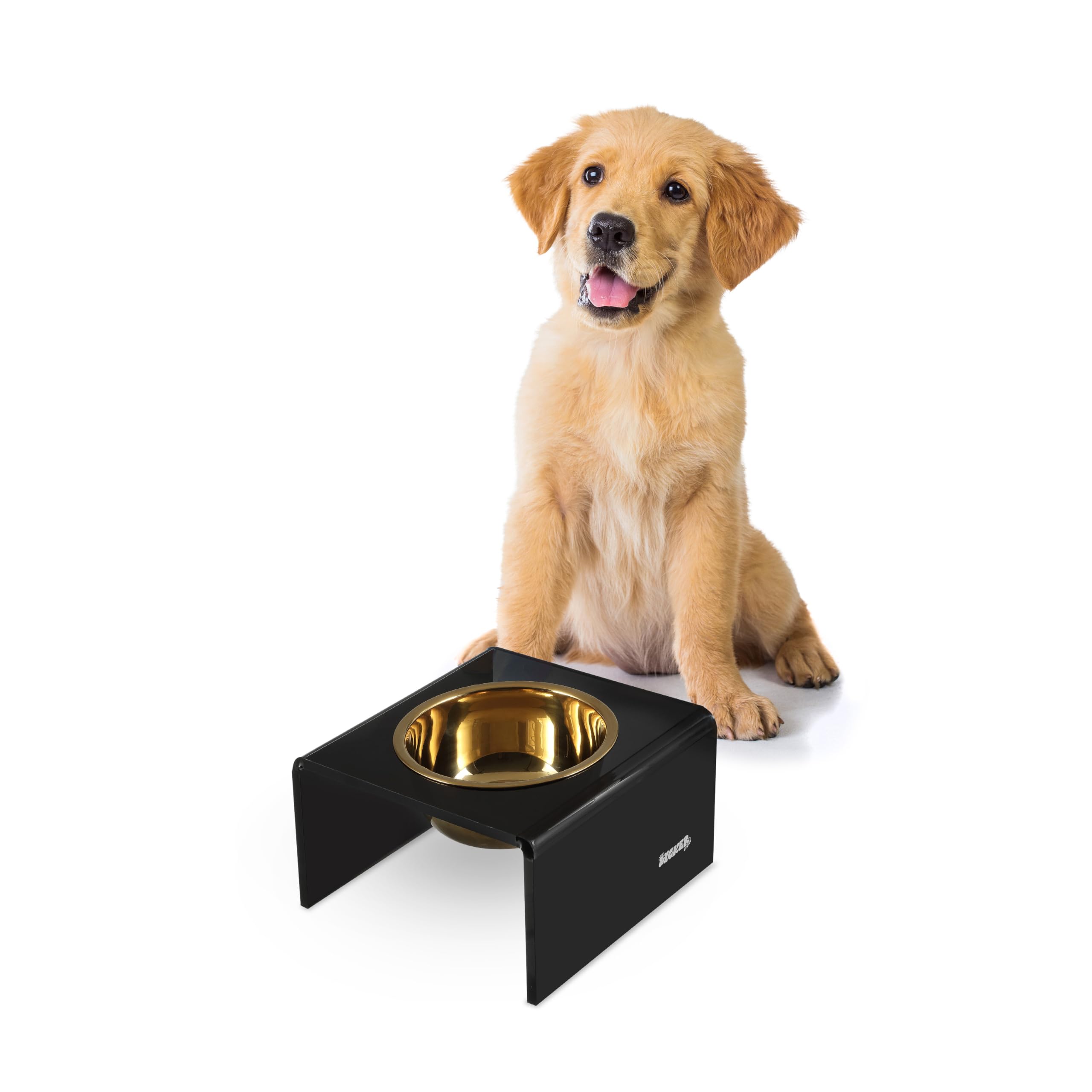 The LICKER Store DBL2002B Keaton 5 Small/Medium Modern Acrylic Rectangular Elevated Pet Feeder with 20oz 1-Stainless Steel Bowl,
