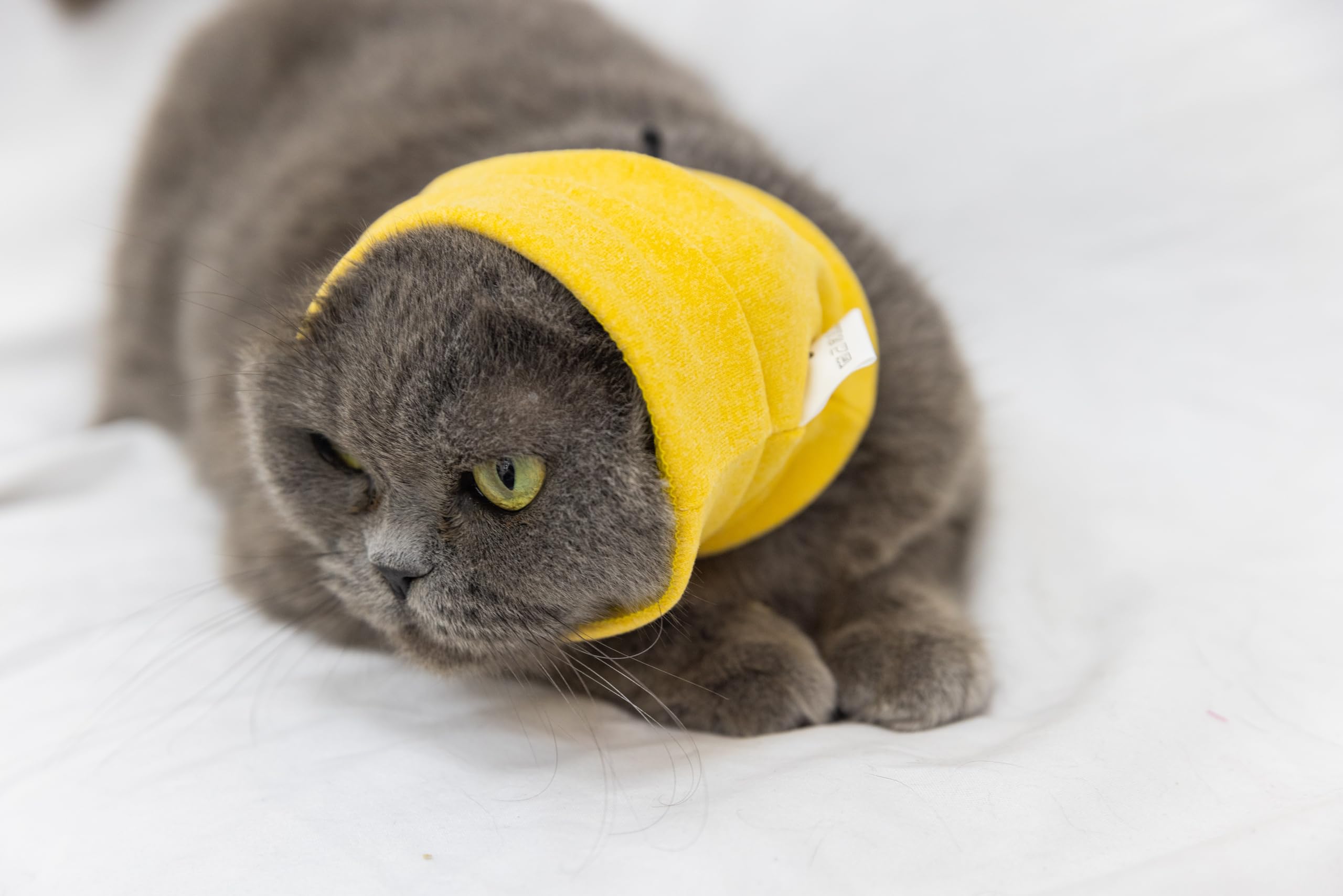 DDFS Soothing Cat Head Wrap Comfort Anti Anxiety Relief Quiet Ears Cat Snood for Grooming Yellow S