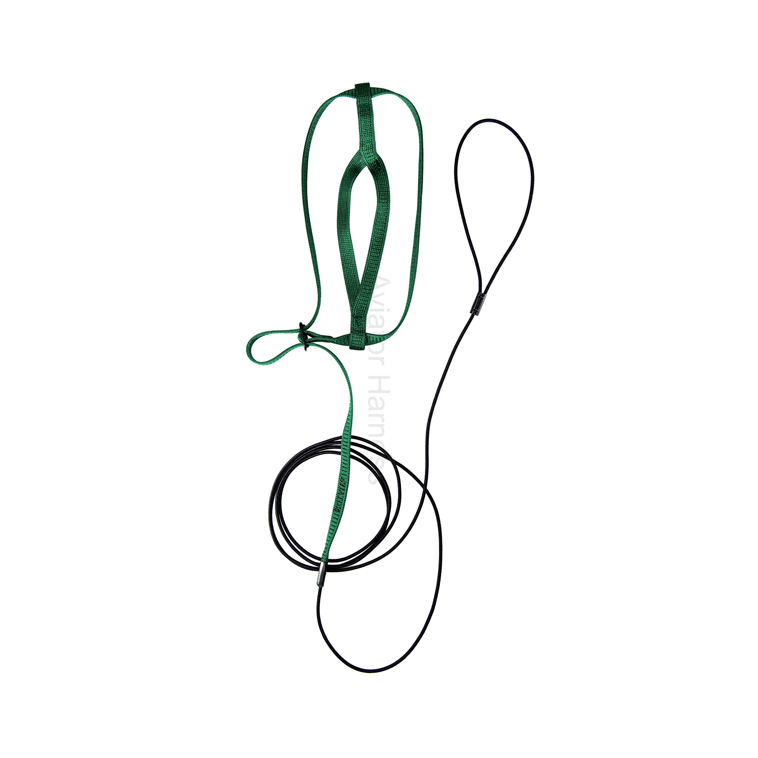 The Aviator Pet Bird Harness And Leash: Medium Green
