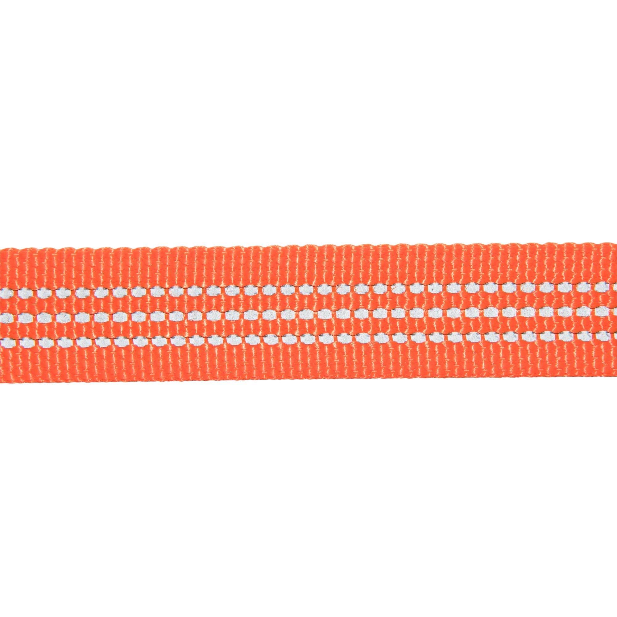 Carhartt Dog Leash, Durable Nylon Webbing Dog Leash, Hunter Orange, Small