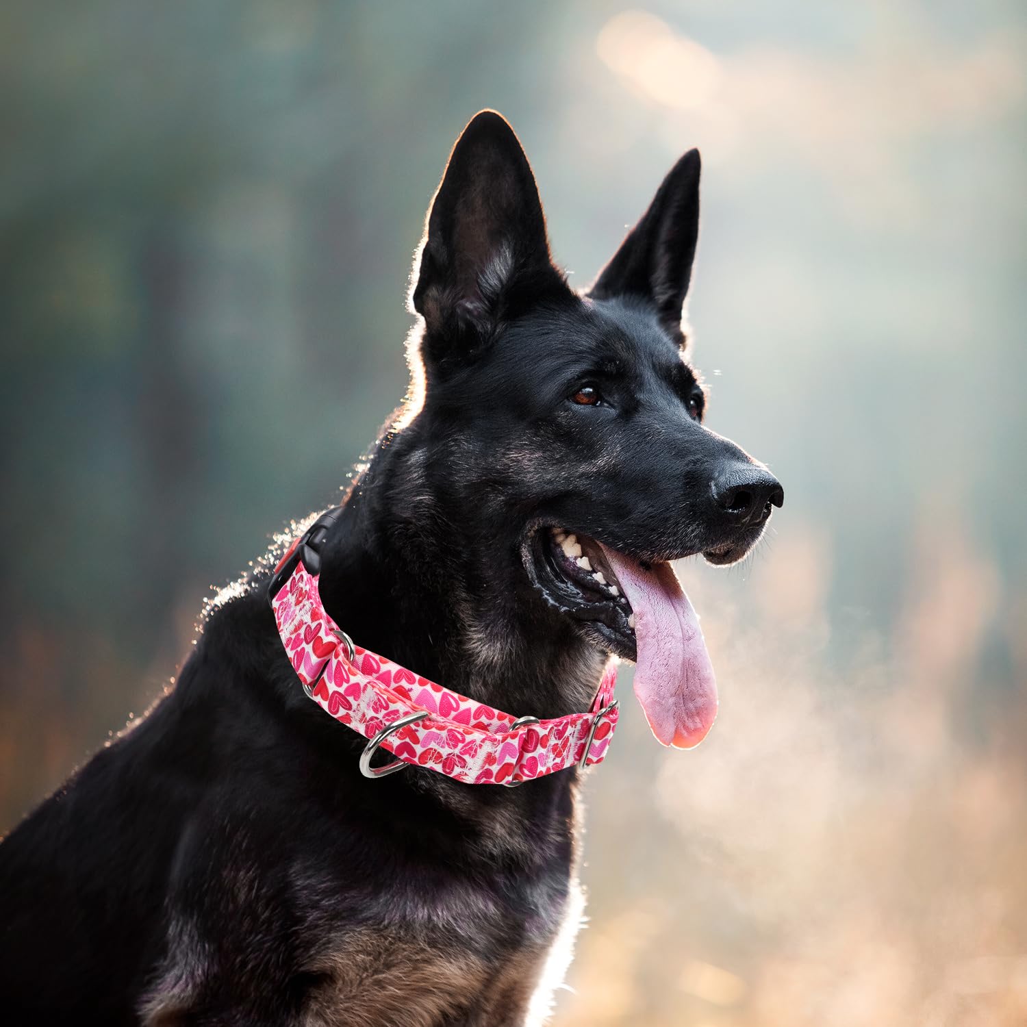 Martingale Collar For Dogs, Pink Heart Dog Collar For Small Medium Large Dogs, Girl Dog Collars With Quick-Release Buckle For Tr