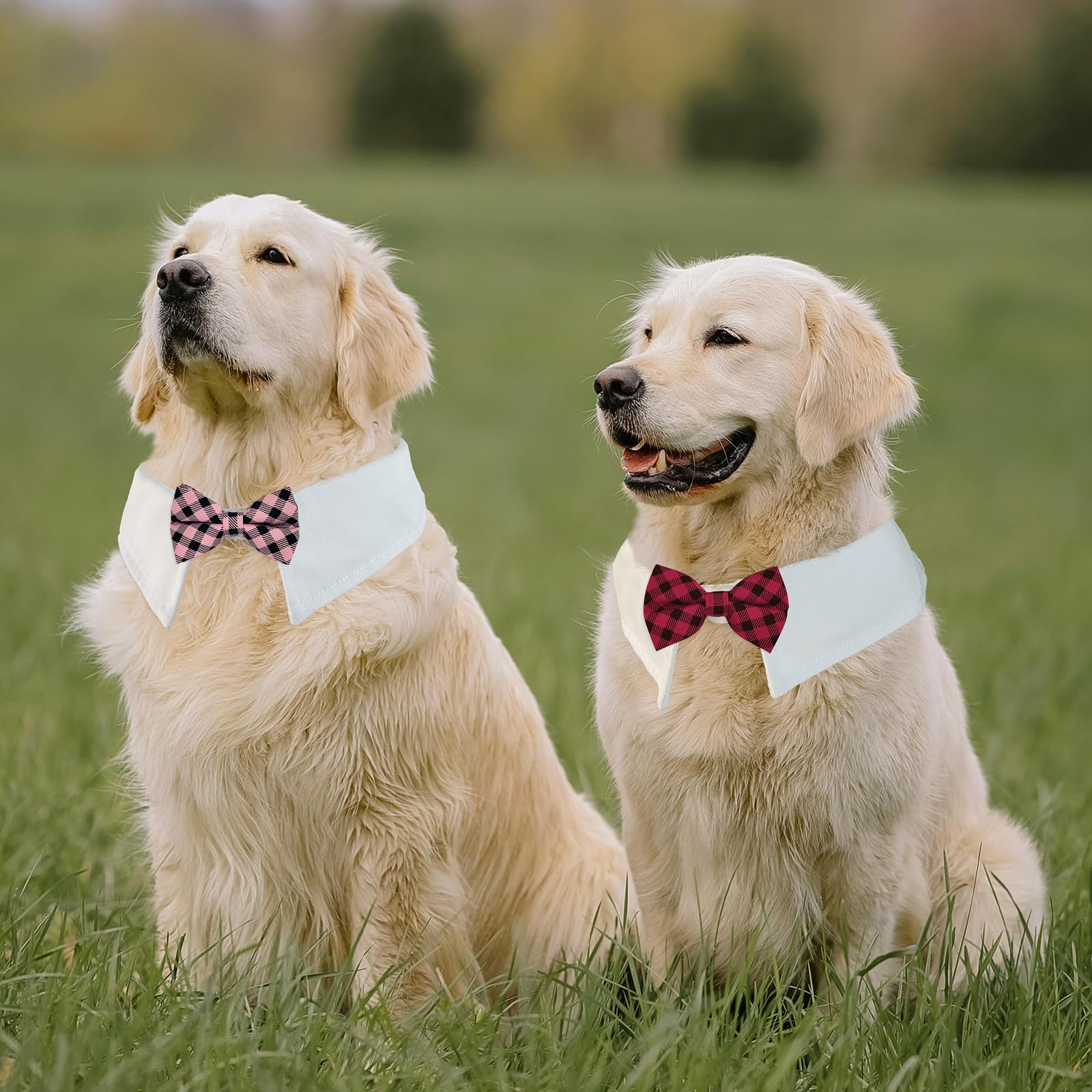Bow Ties For Dogs, Koolmox 8Pcs Adjustable Tux Dog Collar With Dog Bowtie, Tuxedo For Dogs,White Dog Collar For Large Dogs Weddi
