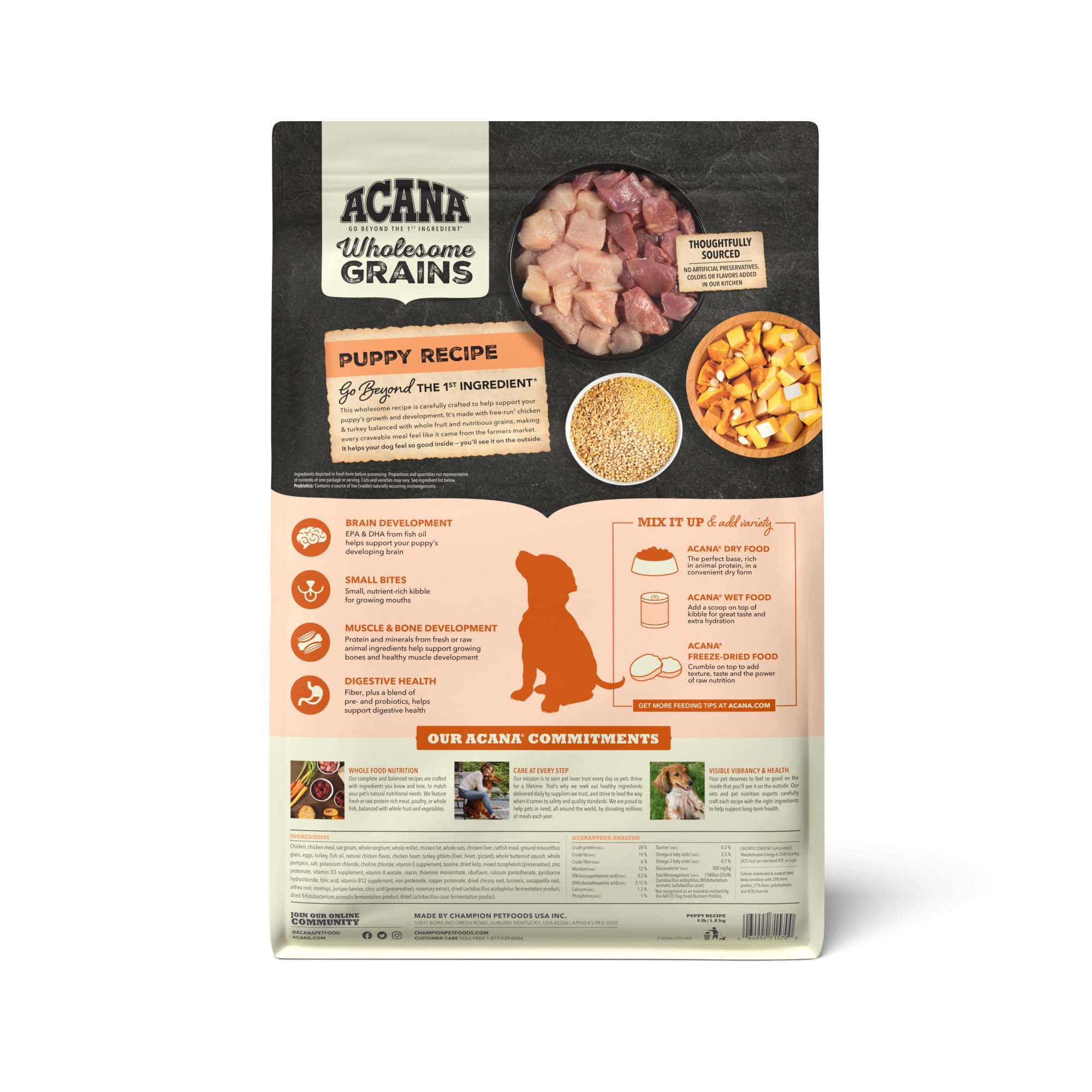 ACANA Wholesome Grains Dry Dog Food, Puppy Recipe, Real Chicken, Eggs and Turkey Dog Food Recipe, 4lb