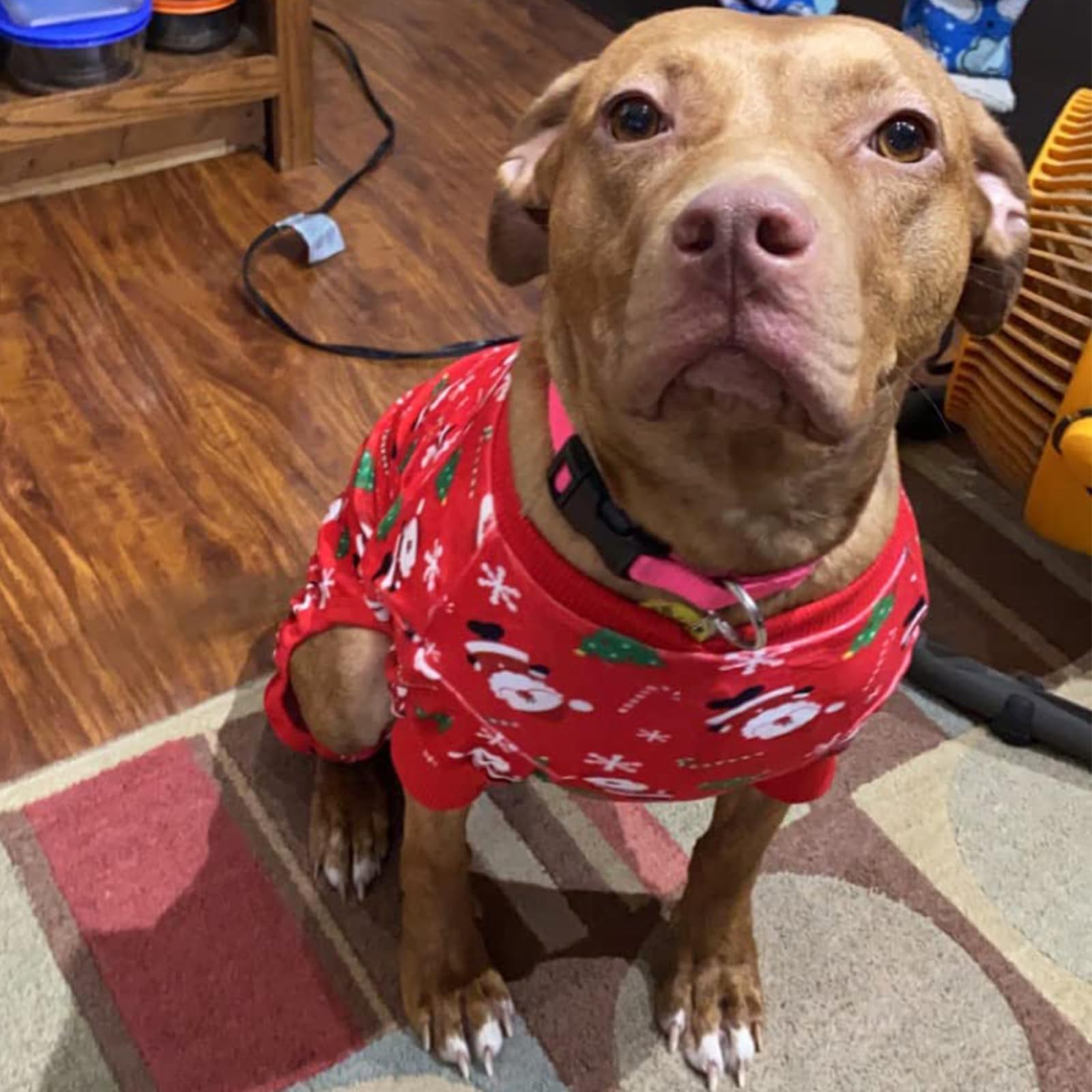 Kyeese Christmas Dog Pajamas For Medium Dogs Santa Claus Dog Pjs Holiday Dog Onesie Soft Velvet