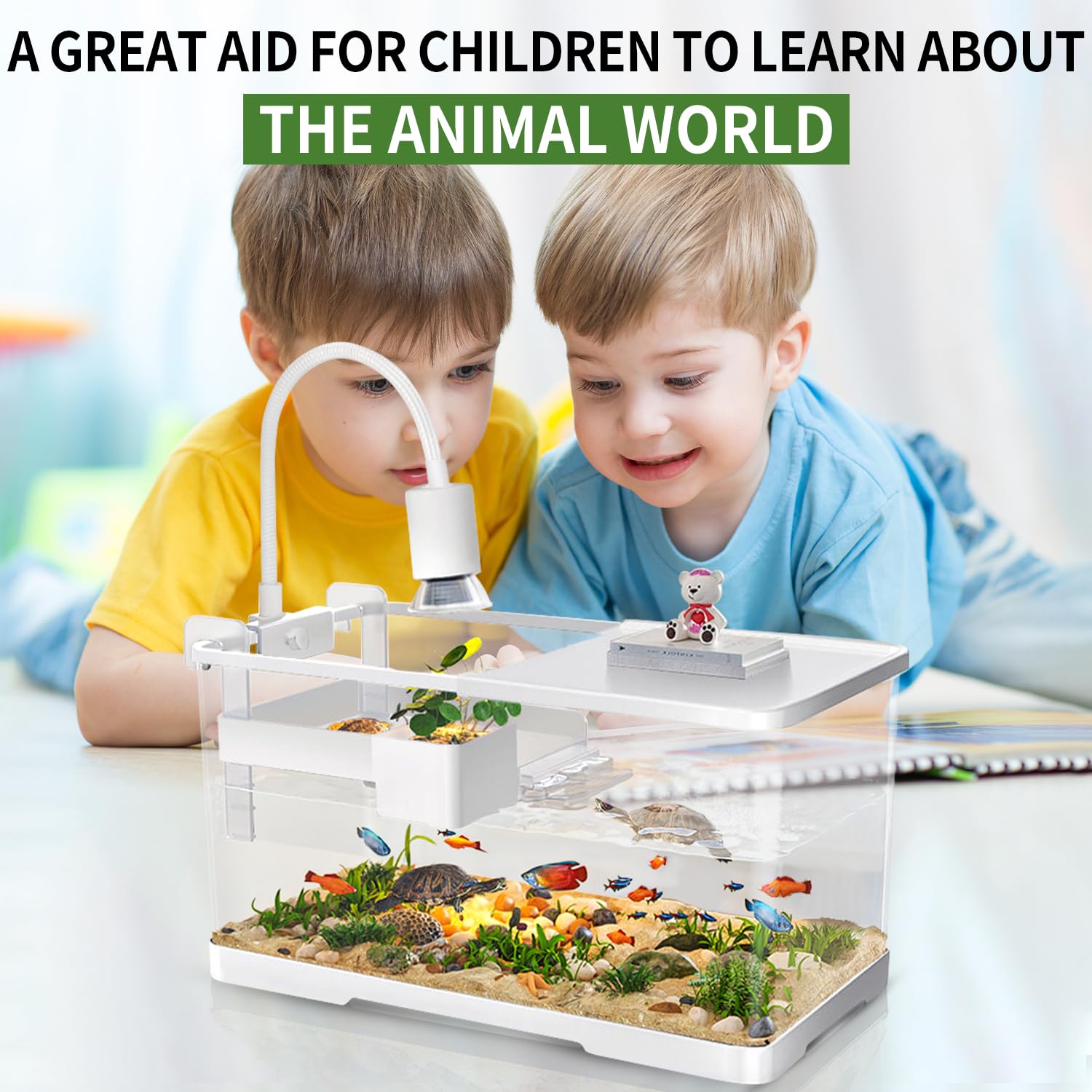 tuhaoking Turtle Tank Kit with Light & Filter - 15.75x8.64x8.64, Bottom Drainage for Turtles, Crabs, Fishes, Amphibians,