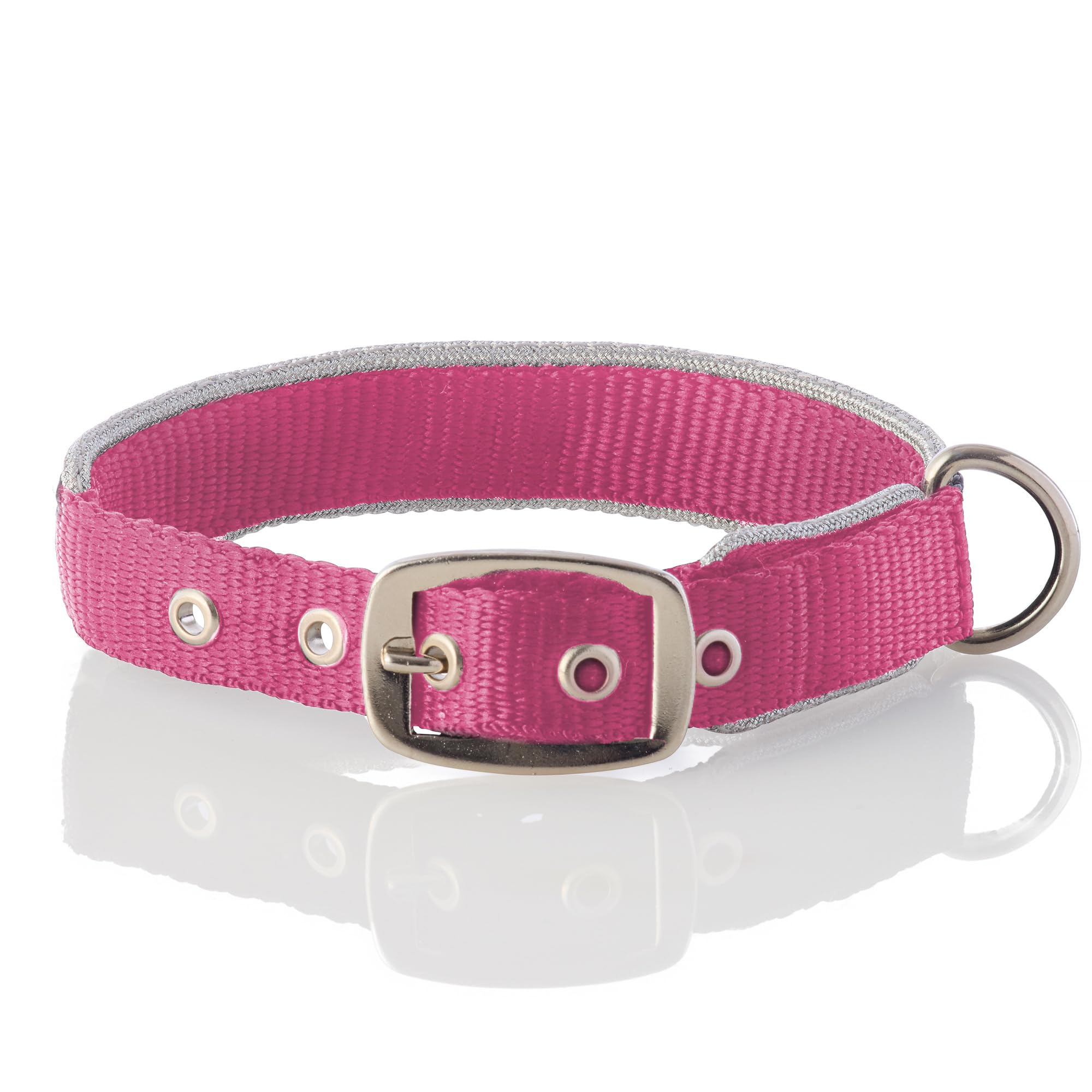 Pet Passion Adjustable Silver Trimmed Dog Collar For Pets Small, Medium And Large Dogs, Silver/Hot Pink, X-Small