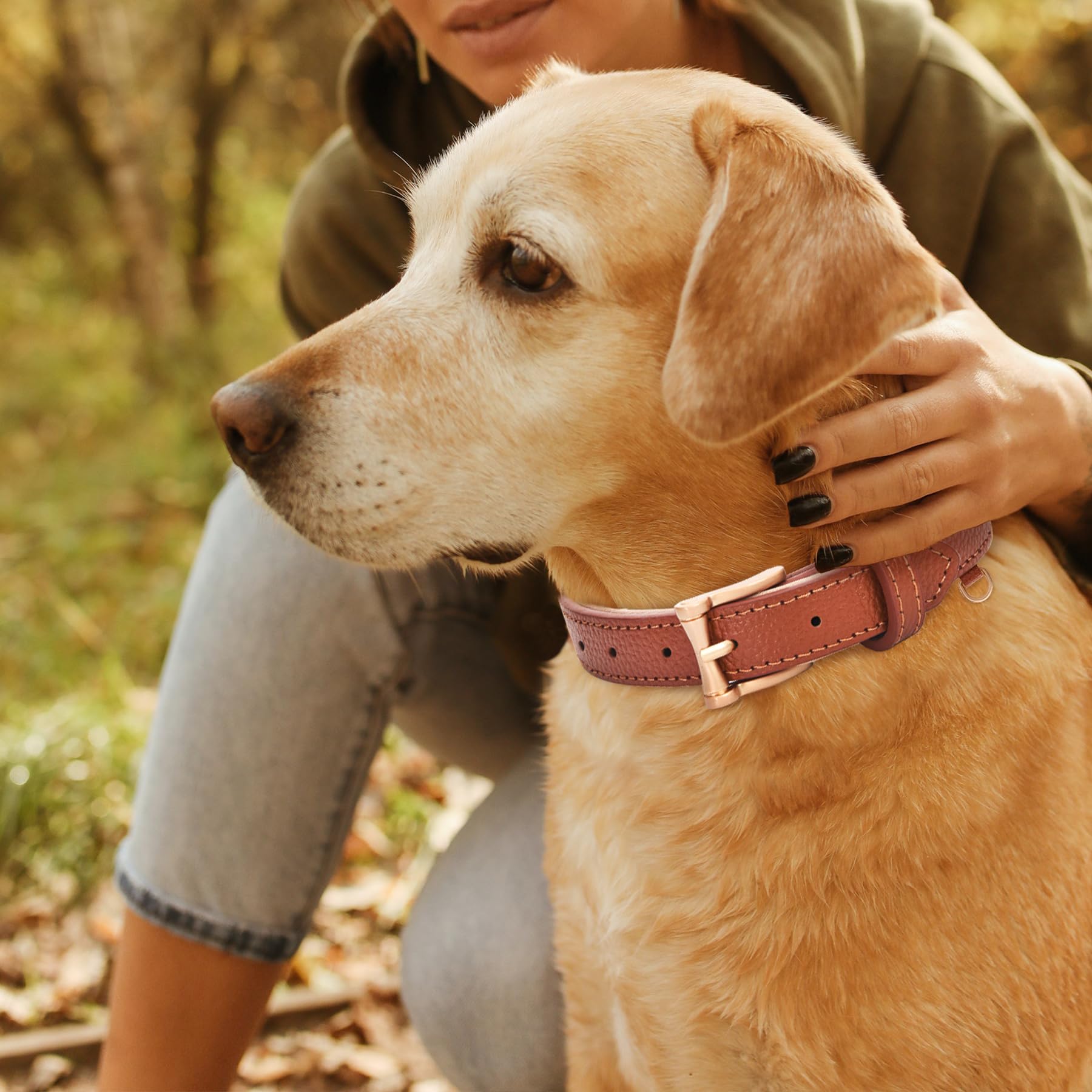 Blu&Ben Genuine Leather Dog Collars Classic Soft Padded Leather Collar Stylish Breathable Dog Collar For Small Medium Large Dogs