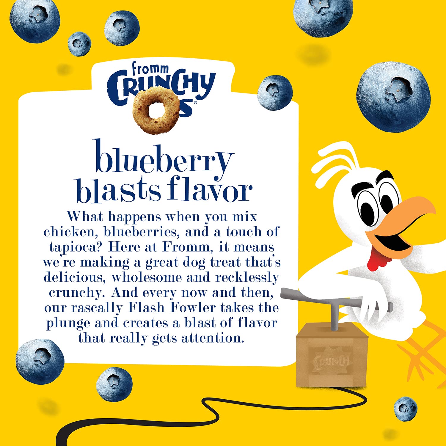 Fromm Crunchy Os Blueberry Blasts Dog Treats - Premium Crunchy Dog Treats - Chicken Recipe - 26 oz