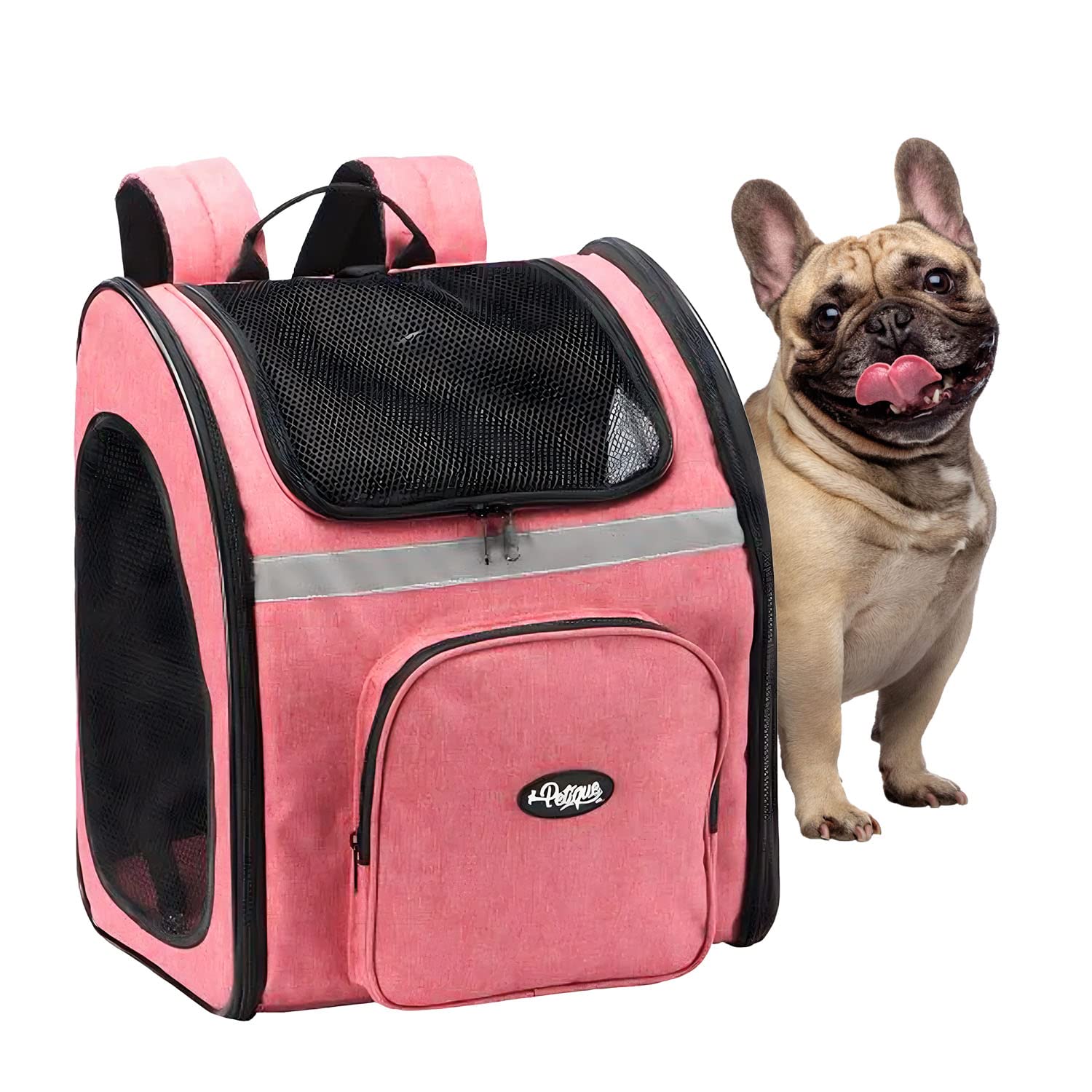 Petique The Backpacker Pet Carrier - Coral: For Small Dogs/Cats/Pets, Storage Pocket, Luggage Handle Slit, Leash Inside, Adjustable Straps, Reversible Mat, 3 Entryways, Folds Flat, Reflective Strip