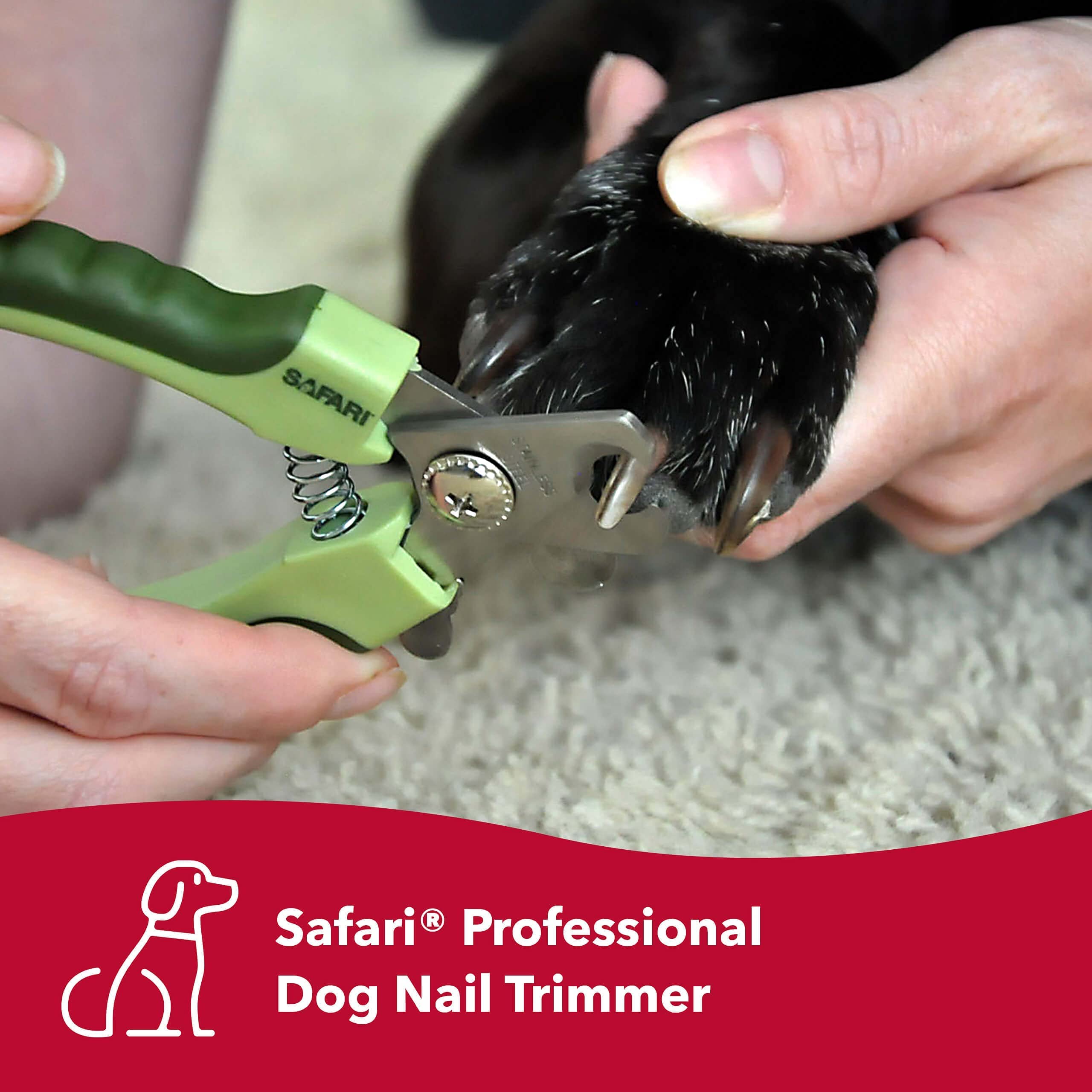Coastal Pet Safari Professional Dog Nail Trimmer - Nail Clippers & Supplies For Grooming - Dog Claw Care For Small & Large Pets - Large, 6.6' X 2'
