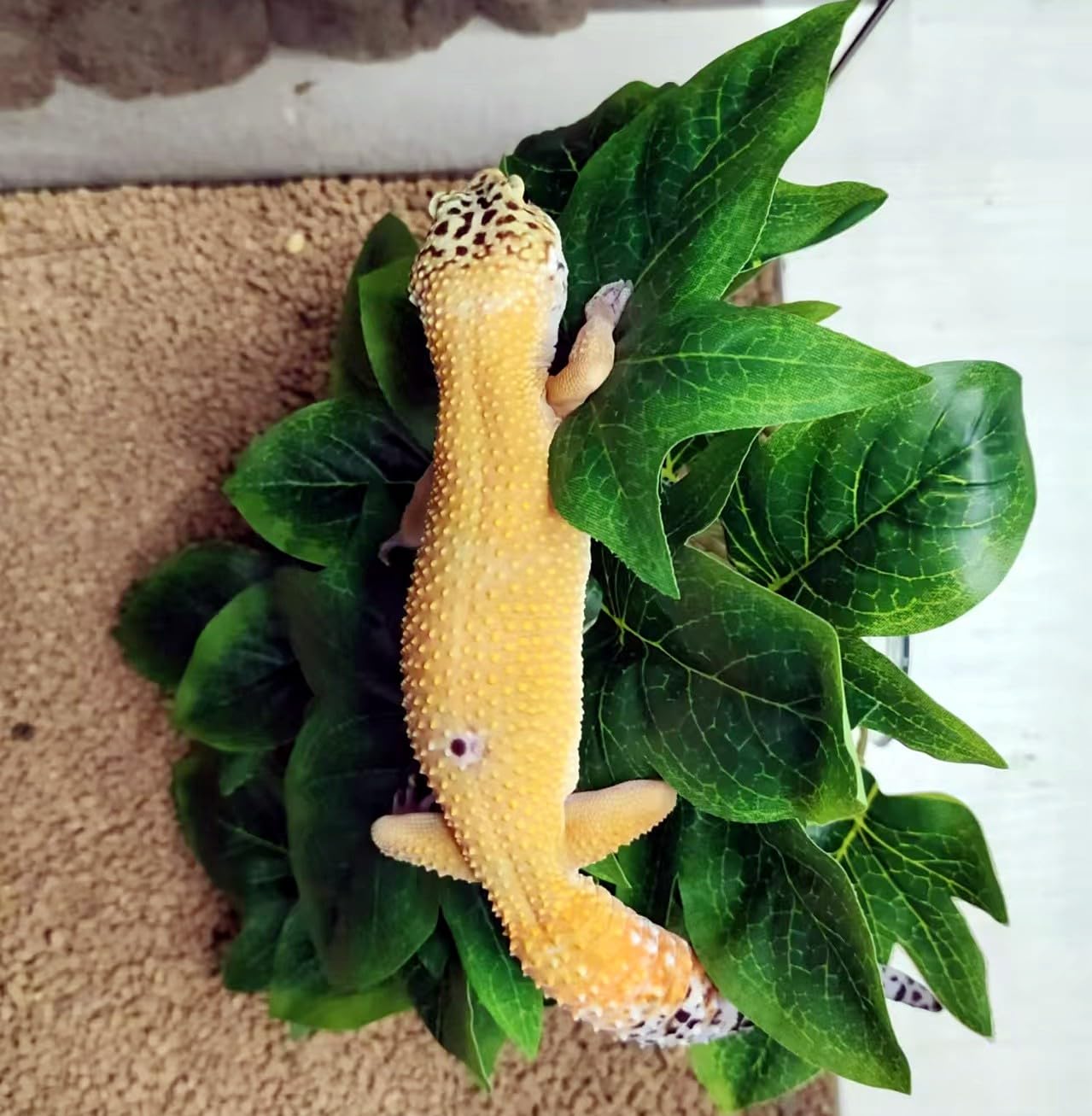 KERUIDENG Reptile Plants for Terrarium Decor, Amphibian Habitat Decor, Reptile Tank Accessories, Artificial Hanging Plants with