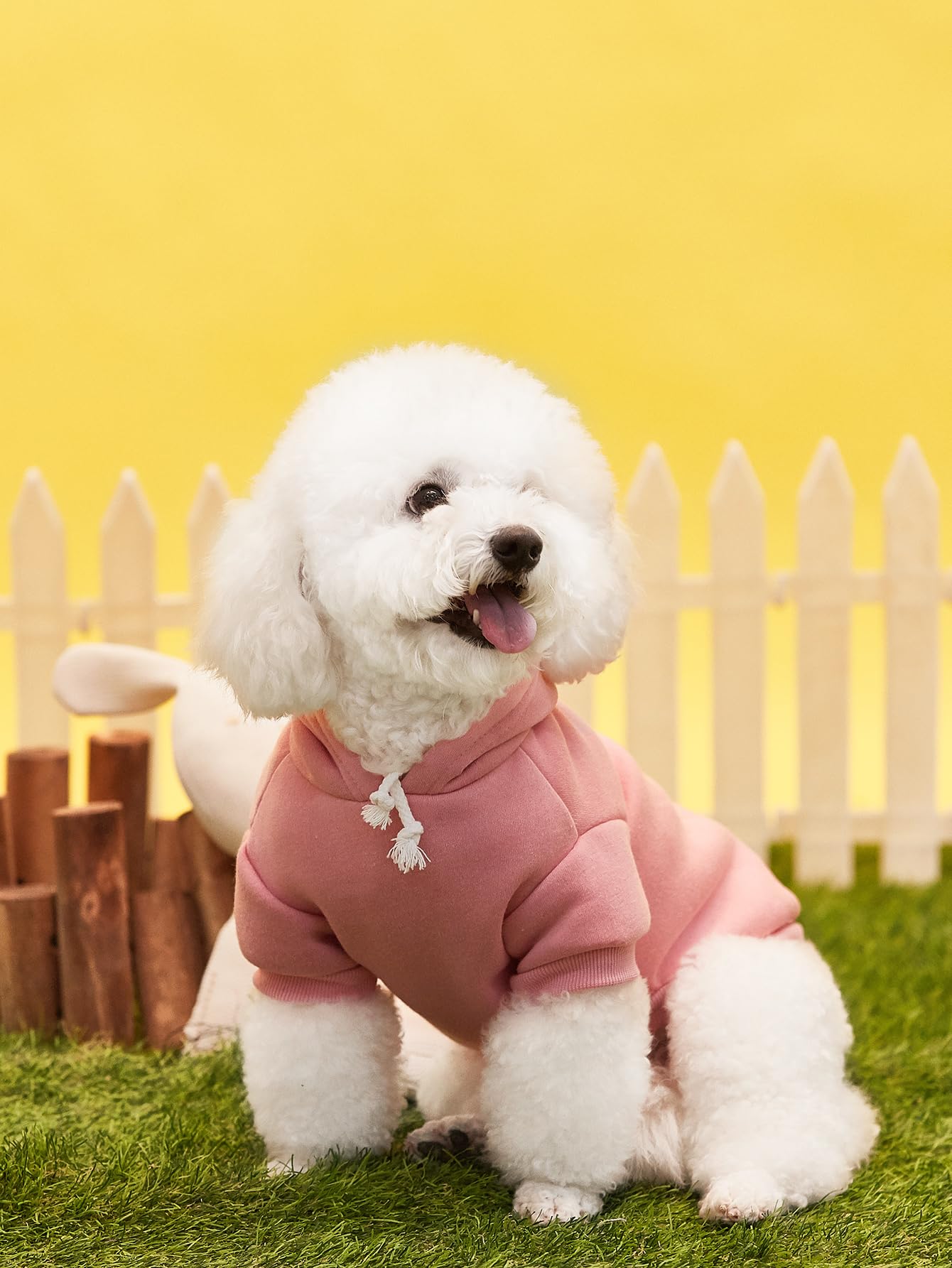 Qwinee Basic Dog Hoodie, Cat Apparel, Dog & Cat Shirt, Clothes For Puppy, Kitten, Small, Medium, X-Large, Light Pink