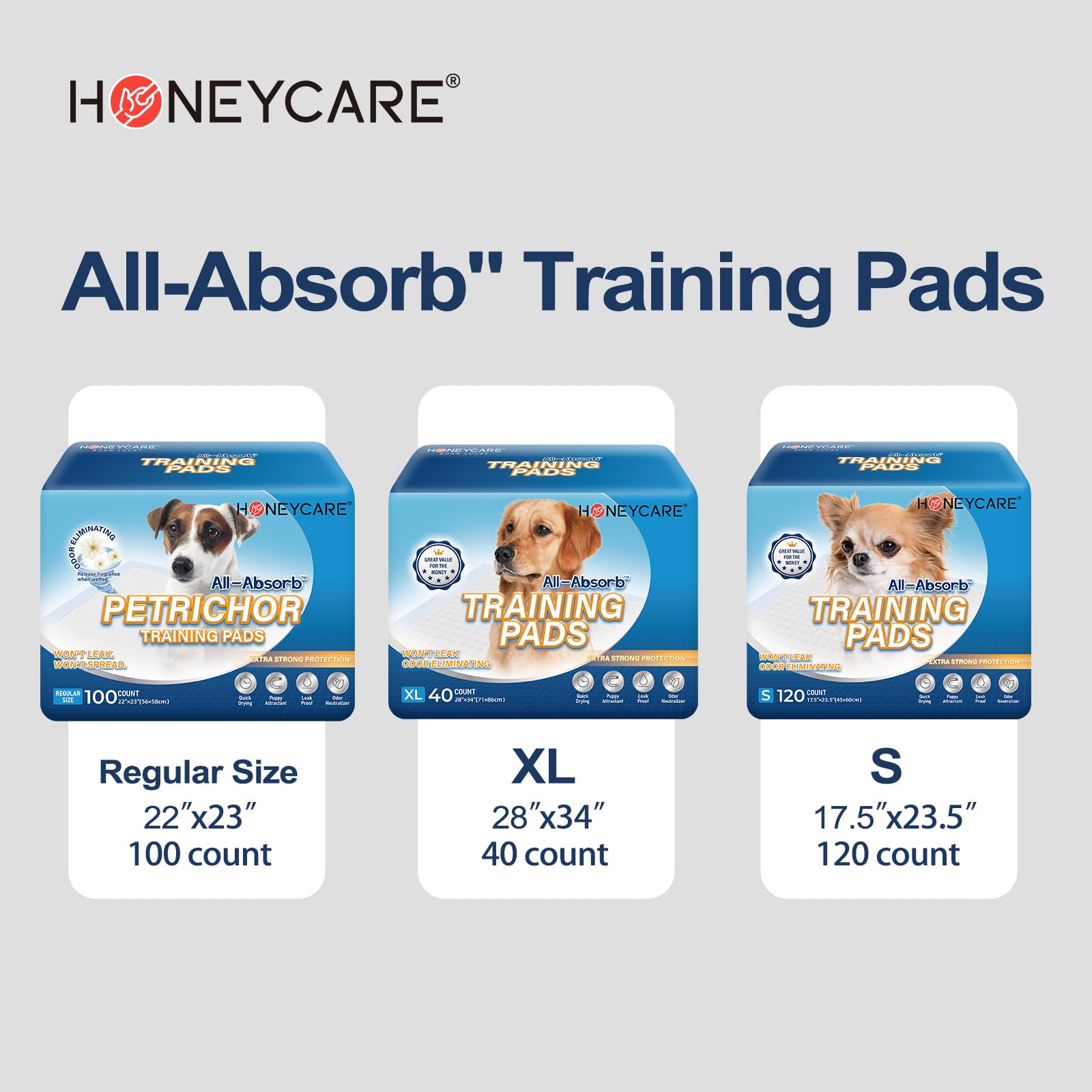 Honey Care All-Absorb, Large 22' X 23', 100 Count, Dog And Puppy Training Pads, Ultra Absorbent And Odor Eliminating, Leak-Proof 5-Layer Potty Training Pads With Quick-Dry Surface, Blue, A01