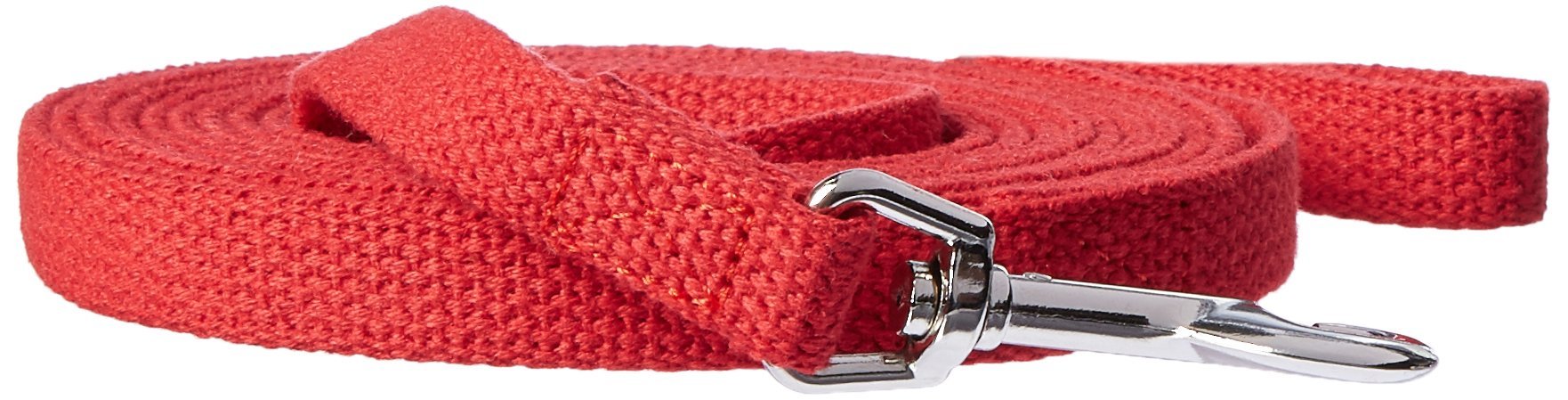 Omnipet Cotton Dog Training Lead For Dogs, 10', Red
