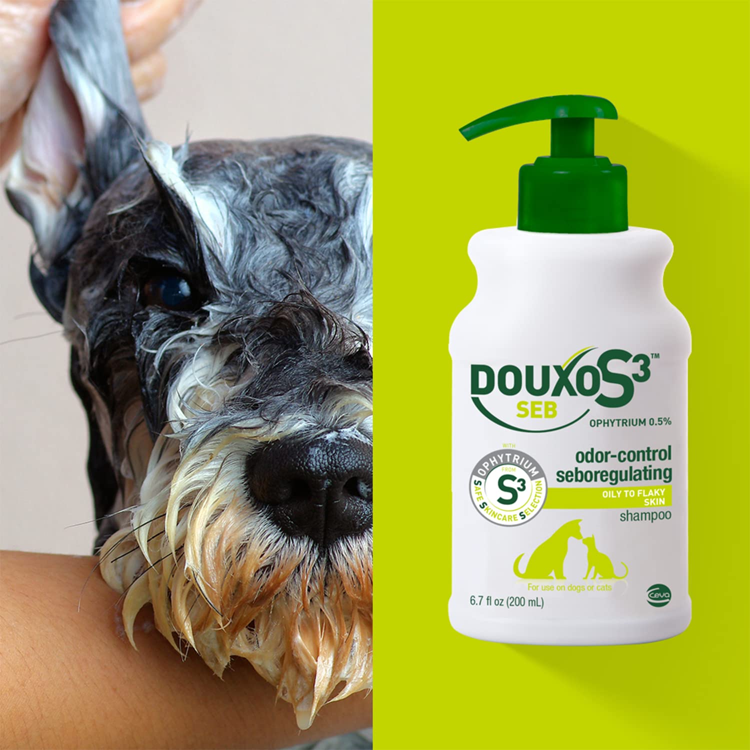 Douxo S3 SEB Shampoo, Contains 0.5% Ophytrium, Odor Control & Seboregulating, for Oily to Flaky Skin, Seborrhea, for Dogs and Ca